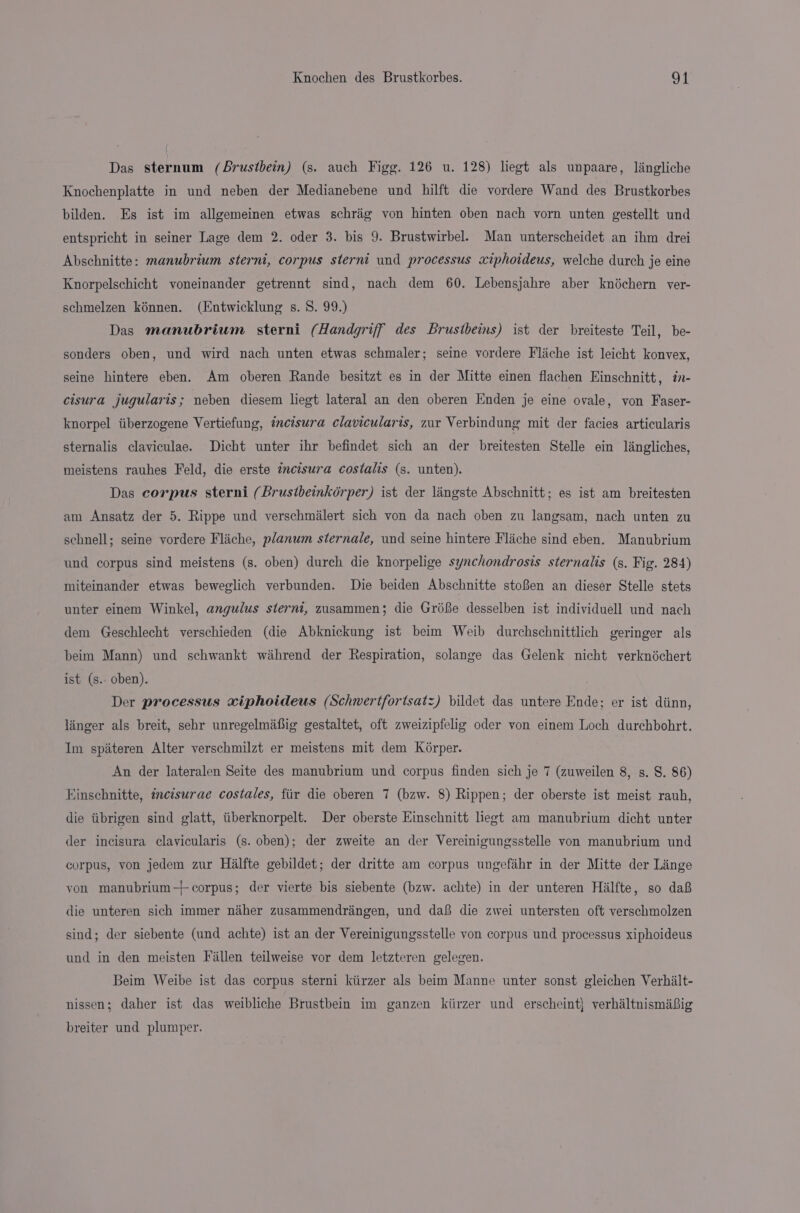 Das sternum (Brusitbein) (s. auch Figg. 126 u. 128) liegt als unpaare, langliche Knochenplatte in und neben der Medianebene und hilft die vordere Wand des Brustkorbes bilden. Es ist im allgemeinen etwas schrag von hinten oben nach vorn unten gestellt und entspricht in seiner Lage dem 2. oder 3. bis 9. Brustwirbel. Man unterscheidet an ihm drei Abschnitte: manubrium sterni, corpus sterni und processus xiphoideus, welche durch je eine Knorpelschicht voneinander getrennt sind, nach dem 60. Lebensjahre aber knéchern ver- schmelzen kénnen. (Entwicklung s. 8. 99.) Das manubrium sterni (Handgriff des Brusibeins) ist der breiteste Teil, be- sonders oben, und wird nach unten etwas schmaler; seine vordere Flache ist leicht konvex, seine hintere eben. Am oberen Rande besitzt es in der Mitte einen flachen Einschnitt, in- cisura jugularis; neben diesem legt lateral an den oberen Enden je eine ovale, von Faser- knorpel tiberzogene Vertiefung, incisura clavicularis, zur Verbindung mit der facies articularis sternalis claviculae. Dicht unter ihr befindet sich an der breitesten Stelle ein langliches, meistens rauhes Feld, die erste ¢acisura costalis (s. unten). Das corpus sterni (Brusibeinkérper) ist der lingste Abschnitt; es ist am breitesten am Ansatz der 5. Rippe und verschmialert sich von da nach oben zu langsam, nach unten zu schnell; seine vordere Flache, planum sternale, und seine hintere Flache sind eben. Manubrium und corpus sind meistens (s. oben) durch die knorpelige synchondrosis sternalis (s. Fig. 284) miteinander etwas beweglich verbunden. Die beiden Abschnitte sto&amp;en an dieser Stelle stets unter einem Winkel, angulus sternt, zusammen; die Gréfe desselben ist individuell und nach dem Geschlecht verschieden (die Abknickung ist beim Weib durchschnittlich geringer als beim Mann) und schwankt wihrend der Respiration, solange das Gelenk nicht verknéchert ist (s.- oben). Der processus xiphoideus (Schwvertfortsatz) bildet das untere Ende; er ist diinn, linger als breit, sehr unregelmifiig gestaltet, oft zweizipfelig oder von einem Loch durchbohrt. Im spiteren Alter verschmilzt er meistens mit dem Ké6rper. An der lateralen Seite des manubrium und corpus finden sich je 7 (zuweilen 8, s. S. 86) Einschnitte, incisurae costales, fiir die oberen 7 (bzw. 8) Rippen; der oberste ist meist rauh, die itibrigen sind glatt, tiberknorpelt. Der oberste Einschnitt liegt am manubrium dicht unter der incisura clavicularis (s. oben); der zweite an der Vereinigungsstelle von manubrium und corpus, von jedem zur Halfte gebildet; der dritte am corpus ungefihr in der Mitte der Linge von manubrium-+-corpus; der vierte bis siebente (bzw. achte) in der unteren Hilfte, so daB die unteren sich immer niher zusammendringen, und dafi die zwei untersten oft verschmolzen sind; der siebente (und achte) ist an der Vereinigungsstelle von corpus und processus xiphoideus und in den meisten Fallen teilweise vor dem letzteren gelegen. Beim Weibe ist das corpus sterni kiirzer als beim Manne unter sonst gleichen Verhiilt- nissen; daher ist das weibliche Brustbein im ganzen kiirzer und erscheint} verhiltnismaiBig breiter und plumper.