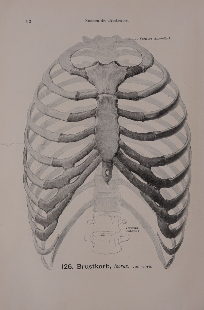 Vertebra lumbalis I