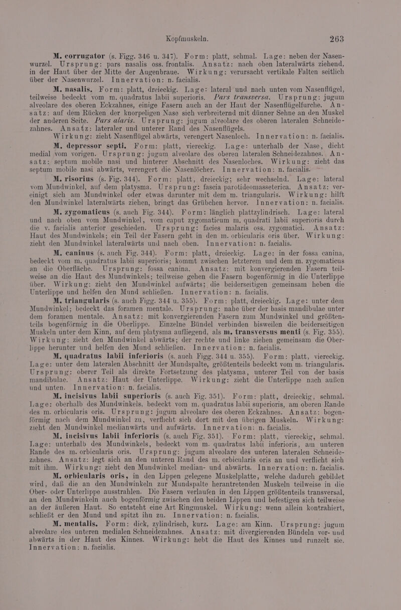 M. corrugator (s. Figg. 346 u. 347). Form: platt, schmal. Lage: neben der Nasen- wurzel. Ursprung: pars nasalis oss. frontalis.s Ansatz: nach oben lateralwirts ziehend, in der Haut tiber der Mitte der Augenbraue. Wirkung: verursacht vertikale Falten seitlich tiber der Nasenwurzel. Innervation: n. facialis. M. nasalis. Form: platt, dreieckig. Lage: lateral und nach unten vom Nasenfliigel, teilweise bedeckt vom m. quadratus labii superioris. Pars transversa. Ursprung: jugum alveolare des oberen Eckzahnes, einige Fasern auch an der Haut der Nasenfliigelfurche. An- satz: auf dem Riicken der knorpeligen Nase sich verbreiternd mit diinner Sehne an den Muskel der anderen Seite. Pars alaris. Ursprung: jugum alveolare des oberen lateralen Schneide- zahnes. Ansatz: lateraler und unterer Rand des Nasenfliigels. Wirkung: zieht Nasenfliigel abwirts, verengert Nasenloch. Innervation: n. facialis. M, depressor septi. Form: platt, viereckic. Lage: unterhalb der Nase, dicht medial vom vorigen. Ursprung: jugum alveolare des oberen lateralen Schneidezahnes.. An - satz: septum mobile nasi und hinterer Abschnitt des Nasenloches. Wirkung: zieht das septum mobile nasi abwarts, verengert die Nasenlécher. Innervation: n. facialis. M. risorius (s. Fig. 344). Form: platt, dreieckig; sehr wechselnd. Lage: lateral vom Mundwinkel, auf dem platysma. Ursprung: fascia parotideomasseterica. Ansatz: ver- einigt sich am Mundwinkel oder etwas darunter mit dem m. triangularis. Wirkung: hilft den Mundwinkel lateralwiirts ziehen, bringt das Griibchen hervor. Innervation: n. facialis. M. zygomaticus (s. auch Fig. 344). Form: langlich plattzylindrisch. Lage: lateral und nach oben vom Mundwinkel, vom caput zygomaticum m., quadrati labii superioris durch die v. facialis anterior geschieden. Ursprung: facies malaris oss. zygomatic. Ansatz: Haut des Mundwinkels; ein Teil der Fasern geht in den m. orbicularis oris tber. Wirkung: zieht den Mundwinkel lateralwirts und nach oben. Innervation: n. facialis. M, caninus (s. auch Fig. 344). Form: platt, dreieckig. Lage: in der fossa canina, bedeckt vom m. quadratus labii superioris; kommt zwischen letzterem und dem m. zygomaticus an die Oberflache. Ursprung: fossa canina. Ansatz: mit konvergierenden Fasern teil- weise an die Haut des Mundwinkels; teilweise gehen die Fasern bogenformig in die Unterlippe tiber. Wirkung: zieht den Mundwinkel aufwarts; die beiderseitigen gemeinsam heben die Unterlippe und helfen den Mund schlieBen. Innervation: n. facialis. M. triangularis (s. auch Figg. 344 u. 355). Form: platt, dreieckig. Lage: unter dem Mundwinkel; bedeckt das foramen mentale. Ursprung: nahe tiber der basis mandibulae unter dem foramen mentale. Ansatz: mit konvergierenden Fasern zum Mundwinkel und gréften- tcils bogenformig in die Oberlippe. Einzelne Biindel verbinden bisweilen die beiderseitigen Muskeln unter dem Kinn, auf dem platysma aufliegend, als m. transversus menti (s. Fig. 355). Wirkung: zieht den Mundwinkel abwarts; der rechte und linke ziehen gemeinsam die Ober- lippe herunter und helfen den Mund schliefen. Innervation: n. facialis. M. quadratus labii inferioris (s. auch Figg. 344 u. 355). Form: platt, viereckig. Lage: unter dem lateralen Abschnitt der Mundspalte, gréStenteils bedeckt vom m. triangularis. Ursprung: oberer Teil als direkte Fortsetzung des platysma, unterer Teil von der basis mandibulae. Ansatz: Haut der Unterlippe. Wirkung: zieht die Unterlippe nach aufen und unten. Innervation: n. facialis. M. incisivus labii superioris (s. auch Fig. 351). Form: platt, dreieckig, schmal. Lage: oberhalb des Mundwinkels, bedeckt vom m. quadratus labii superioris, am oberen Rande des m. orbicularis oris. Ursprung: jugum alveolare des oberen Eckzahnes. Ansatz: bogen- formig nach dem Mundwinkel zu, verflicht sich dort mit den iibrigen Muskeln. Wirkung: zieht den Mundwinkel. medianwarts und aufwarts. Innervation: n. facialis. M. incisivus labii inferioris (s. auch Fig. 351). Form: platt, viereckie, schmal. Lage: unterhalb des Mundwinkels, bedeckt vom m. quadratus labii inferioris, am unteren Rande des m. orbicularis oris. Ursprung: jugum alveolare des unteren lateralen Schneide- zihnes. Ansatz: legt sich an den unteren Rand des m. orbicularis oris an und verflicht sich mit ihm. Wirkung: zieht den Mundwinkel median- und abwarts. Innervation: n. facialis. M. orbicularis oris, in den Lippen gelegene Muskelplatte, welche dadurch gebildet wird, daf die an den Mundwinkeln zur Mundspalte herantretenden Muskeln teilweise in die Ober- oder Unterlippe ausstrahlen. Die Fasern verlaufen in den Lippen gré8tenteils transversal, an den Mundwinkeln auch bogenférmig zwischen den beiden Lippen und befestigen sich teilweise an der auferen Haut. So entsteht eine Art Ringmuskel. Wirkung: wenn allein kontrahiert, schlieBt er den Mund und spitzt ihn zu. Innervation: n. facialis. M. mentalis. Form: dick, zylindrisch, kurz. Lage: am Kinn. Ursprung: jugum alveolare des unteren medialen Schneidezahnes. Ansatz: mit divergierenden Biindeln vor- und abwarts in der Haut des Kinnes. Wirkung: hebt die Haut des Kinnes und runzelt sie. Innervation: n. facialis.