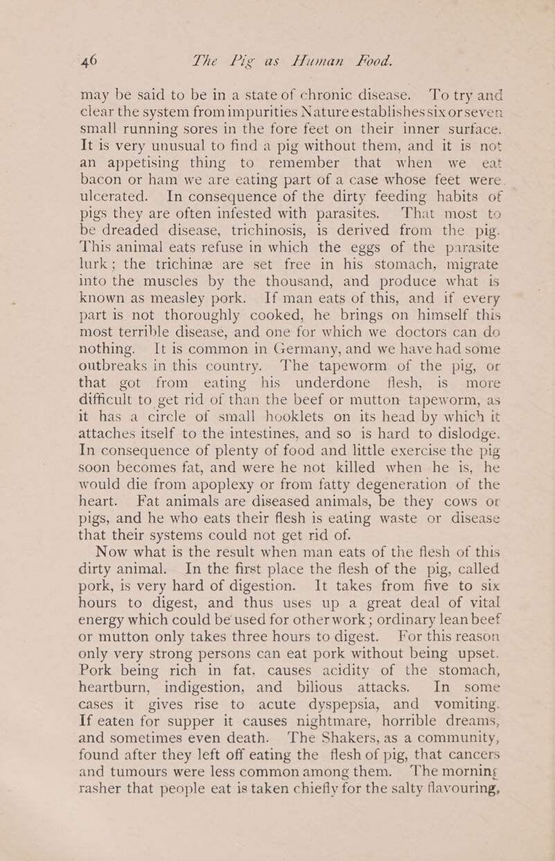 may be said to be in a state of chronic disease. To try and clear the system from impurities Nature establishes six orseven small running sores in the fore feet on their inner surface. It is very unusual to find a pig without them, and it is not an appetising thing to remember that when we eat bacon or ham we are eating part of a case whose feet were. ulcerated. In consequence of the dirty feeding habits of pigs they are often infested with parasites. That most to be dreaded disease, trichinosis, is derived from the pig. This animal eats refuse in which the eggs of the parasite lurk; the trichine are set free in his stomach, migrate into the muscles by the thousand, and produce what is known as measley pork. If man eats of this, and if every part is not thoroughly cooked, he brings on himself this most terrible disease, and one for which we doctors can do nothing. It is common in Germany, and we have had some outbreaks in this country. The tapeworm of the pig, or that got from eating his underdone flesh, is more difficult to get rid of than the beef or mutton tapeworm, as it has a circle of small hooklets on its head by which it attaches itself to the intestines, and so is hard to dislodge. In consequence of plenty of food and little exercise the pig soon becomes fat, and were he not killed when he is, he would die from apoplexy or from fatty degeneration of the heart. Fat animals are diseased animals, be they cows or pigs, and he who eats their flesh is eating waste or disease that their systems could not get rid of. Now what is the result when man eats of the flesh of this dirty animal. In the first place the flesh of the pig, called pork, is very hard of digestion. It takes from five to six hours to digest, and thus uses up a great deal of vital energy which could be used for other work; ordinary lean beef or mutton only takes three hours to digest. For this reason only very strong persons can eat pork without being upset. Pork being rich in fat. causes acidity of the stomach, heartburn, indigestion, and bilious attacks. In some cases it gives rise to acute dyspepsia, and vomiting. If eaten for supper it causes nightmare, horrible dreams, and sometimes even death. The Shakers, as a community, found after they left off eating the flesh of pig, that cancers and tumours were less commonamong them. ‘The morning rasher that people eat is taken chiefly for the salty flavouring,