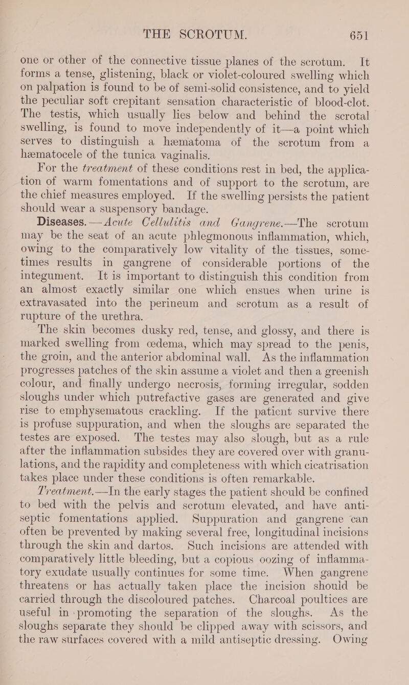 one or other of the connective tissue planes of the scrotum. It forms a tense, glistening, black or violet-coloured swelling which on palpation is found to be of semi-solid consistence, and to yield the peculiar soft crepitant sensation characteristic of blood-clot. The testis, which usually lies below and behind the scrotal swelling, is found to move independently of it—a point which serves to distinguish a hematoma of the scrotum from a heematocele of the tunica vaginalis. For the treatment of these conditions rest in bed, the applica- tion of warm fomentations and of support to the scrotum, are the chief measures employed. If the swelling persists the patient should wear a suspensory bandage. Diseases.— Acute Cellulitis and Gangrene.—The scrotum may be the seat of an acute phlegmonous inflammation, which, owing to the comparatively low vitality of the tissues, some- times results in gangrene of considerable portions of the integument. It is important to distinguish this condition from an almost exactly similar one which ensues when urine is extravasated into the perineum and scrotum as a result of rupture of the urethra. The skin becomes dusky red, tense, and glossy, and there is marked swelling from cedema, which may spread to the penis, the groin, and the anterior abdominal wall. As the inflammation progresses patches of the skin assume a violet and then a greenish colour, and finally undergo necrosis, forming irregular, sodden sloughs under which putrefactive gases are generated and give rise to emphysematous crackling. If the paticnt survive there is profuse suppuration, and when the sloughs are separated the testes are exposed. The testes may also slough, but as a rule after the inflammation subsides they are covered over with granu- lations, and the rapidity and completeness with which cicatrisation takes place under these conditions is often remarkable. T'reatment.—In the early stages the patient should be confined to bed with the pelvis and scrotum elevated, and have anti- septic fomentations applied. Suppuration and gangrene can often be prevented by making several free, longitudinal incisions through the skin and dartos. Such incisions are attended with comparatively little bleeding, but a copious oozing of inflamma- tory exudate usually continues for some time. When gangrene threatens or has actually taken place the incision should he carried through the discoloured patches. Charcoal poultices are useful in promoting the separation of the sloughs. As the sloughs separate they should be clipped away with scissors, and the raw surfaces covered with a mild antiseptic dressing. Owing