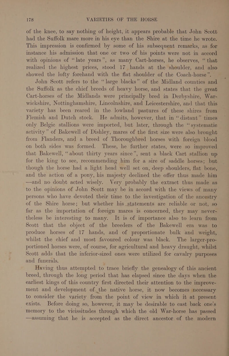 of the knee, to say nothing of height, it appears probable that John Scott had the Suffolk mare more in his eye than the Shire at the time he wrote. This impression is confirmed by some of his subsequent remarks, as for instance his admission that one or two of his points were not in accord with opinions of “late years”, as many Cart-horses, he observes, “ that realized the highest prices, stood 17 hands at the shoulder, and also showed the lofty forehand with the flat shoulder of the Coach-horse”. John Scott refers to the “large blacks” of the Midland counties and the Suffolk as the chief breeds of heavy horse, and states that the great Cart-horses of the Midlands were principally bred in Derbyshire, War- wickshire, Nottinghamshire, Lincolnshire, and Leicestershire, and that this variety has been reared in the lowland pastures of these shires from Flemish and Dutch stock. He admits, however, that in “distant” times activity” of Bakewell of Dishley, mares of the first size were also brought from Flanders, and a breed of Thoroughbred horses with foreign blood on both sides was formed. These, he further states, were so improved that Bakewell, “about thirty years since”, sent a black Cart stallion up for the king to see, recommending him for a sire of saddle horses; but though the horse had a light head well set on, deep shoulders, flat bone, and the action of a pony, his majesty declined the offer thus made him —and no doubt acted wisely. Very probably the extract thus made as to the opinions of John Scott may be in accord with the views of many persons who have devoted their time to the investigation of the ancestry of the Shire horse; but whether his statements are reliable or not, so far as the importation of foreign mares is concerned, they may never- theless be interesting to many. It is of importance also to learn from Scott that the object of the breeders of the Bakewell era was to produce horses of 17 hands, and of proportionate bulk and weight, whilst the chief and most favoured colour was black. The larger-pro- portioned horses were, of course, for agricultural and heavy draught, whilst Scott adds that the inferior-sized ones were utilized for cavalry purposes and funerals. Having thus attempted to trace briefly the genealogy of this ancient breed, through the long period that has elapsed since the days when the earliest kings of this country first directed their attention to the improve- ment and development of the native horse, it now becomes necessary to consider the variety from the point of view in which it at present exists. Before doing so, however, it may be desirable to cast back one’s - memory to the vicissitudes through which the old War-horse has passed —assuming that he is accepted as the direct ancestor. of the modern