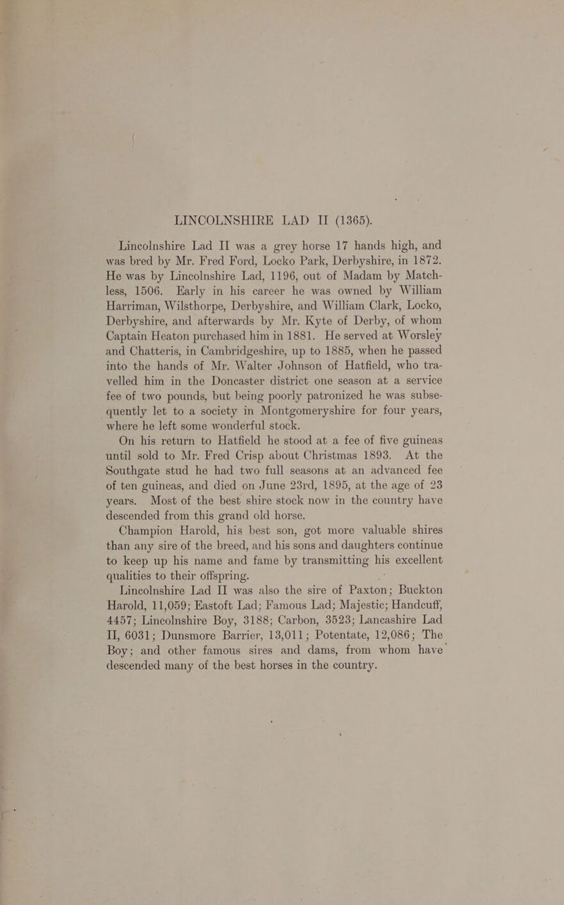 LINCOLNSHIRE LAD II (1365). Lincolnshire Lad II was a grey horse 17 hands high, and was bred by Mr. Fred Ford, Locko Park, Derbyshire, in 1872. He was by Lincolnshire Lad, 1196, out of Madam by Match- less, 1506. Early in his career he was owned by William Harriman, Wilsthorpe, Derbyshire, and William Clark, Locko, Derbyshire, and afterwards by Mr. Kyte of Derby, of whom Captain Heaton purchased him in 1881. He served at Worsley and Chatteris, in Cambridgeshire, up to 1885, when he passed into the hands of Mr. Walter Johnson of Hatfield, who tra- velled him in the Doncaster district one season at a service fee of two pounds, but being poorly patronized he was subse- quently let to a society in Montgomeryshire for four years, where he left some wonderful stock. On his return to Hatfield he stood at a fee of five guineas until sold to Mr. Fred Crisp about Christmas 1893. At the Southgate stud he had two full seasons at an advanced fee of ten guineas, and died on June 23rd, 1895, at the age of 23 years. Most of the best shire stock now in the country have descended from this grand old horse. Champion Harold, his best son, got more valuable shires than any sire of the breed, and his sons and daughters continue to keep up his name and fame by transmitting his excellent qualities to their offspring. Lincolnshire Lad II was also the sire of eee Buckton Harold, 11,059; Eastoft Lad; Famous Lad; Majestic; Handcuff, 4457; Lincolnshire Boy, 3188; Carbon, 3523; Lancashire Lad II, 6031; Dunsmore Barrier, 13,011; Potentate, 12,086; The Boy; and other famous sires and dams, from whom have descended many of the best horses in the country.