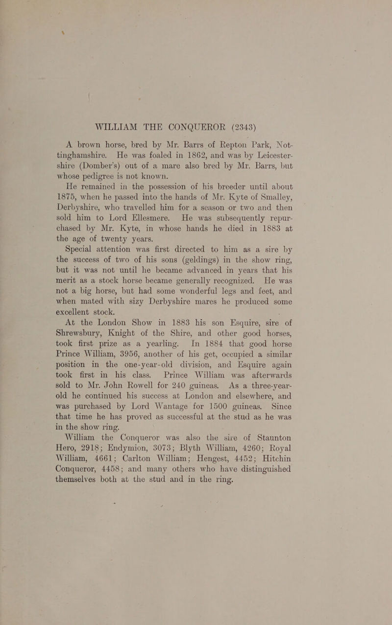 WILLIAM THE CONQUEROR (2343) A brown horse, bred by Mr. Barrs of Repton Park, Not- tinghamshire. He was foaled in 1862, and was by Leicester- shire (Domber’s) out of a mare also bred by Mr. Barrs, but whose pedigree is not known. He remained in the possession of his breeder until about 1875, when he passed into the hands of Mr. Kyte of Smalley, Derbyshire, who travelled him for a season or two and then sold him to Lord Ellesmere. He was subsequently repur- chased by Mr. Kyte, in whose hands he died in 1883 at the age of twenty years. Special attention was first directed to him as a sire by the success of two of his sons (geldings) in the show ring, but it was not until he became advanced in years that his merit as a stock horse became generally recognized. He was not a big horse, but had some wonderful legs and feet, and when mated with sizy Derbyshire mares he produced some excellent stock. At the London Show in 1883 his son Esquire, sire of Shrewsbury, Knight of the Shire, and other good horses, took first prize as a yearling. In 1884 that good horse Prince William, 3956, another of his get, occupied a similar position in the one-year-old division, and Esquire again took first in his class. Prince William was afterwards sold to Mr. John Rowell for 240 guineas. As a three-year- old he continued his success at London and elsewhere, and was purchased by Lord Wantage for 1500 guineas. Since that time he has proved as successful at the stud as he was in the show ring. William the Conqueror was also the sire of Staunton Hero, 2918; Endymion, 3073; Blyth William, 4260; Royal William, 4661; Carlton William; Hengest, 4452; Hitchin Conqueror, 4458; and many others who have distinguished themselves both at the stud and in the ring.