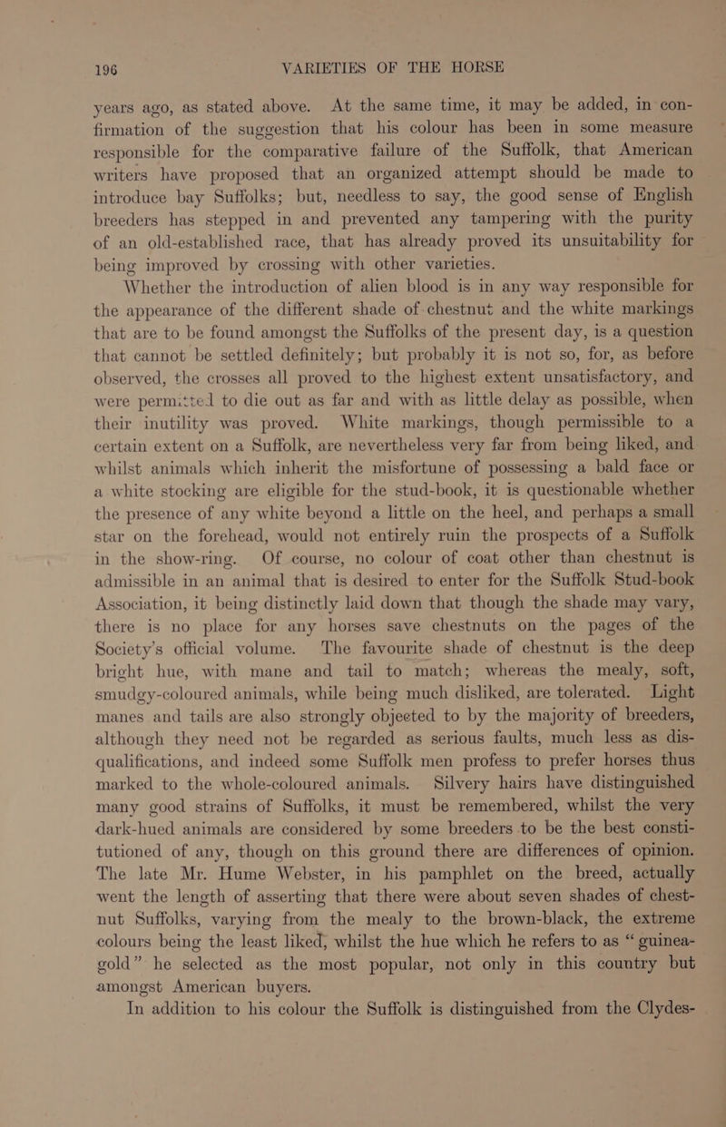 years ago, as stated above. At the same time, it may be added, in con- firmation of the suggestion that his colour has been in some measure responsible for the comparative failure of the Suffolk, that American writers have proposed that an organized attempt should be made to introduce bay Suffolks; but, needless to say, the good sense of English breeders has stepped in and prevented any tampering with the purity of an old-established race, that has already proved its unsuitability for being improved by crossing with other varieties. Whether the introduction of alien blood is in any way responsible for the appearance of the different shade of.chestnut and the white markings that are to be found amongst the Suffolks of the present day, is a question that cannot be settled definitely; but probably it is not so, for, as before observed, the crosses all proved to the highest extent unsatisfactory, and were perm:‘ttel to die out as far and with as little delay as possible, when their inutility was proved. White markings, though permissible to a certain extent on a Suffolk, are nevertheless very far from being liked, and whilst animals which inherit the misfortune of possessing a bald face or a white stocking are eligible for the stud-book, it is questionable whether the presence of any white beyond a little on the heel, and perhaps a small star on the forehead, would not entirely ruin the prospects of a Suffolk in the show-ring. Of course, no colour of coat other than chestnut is admissible in an animal that is desired to enter for the Suffolk Stud-book Association, it being distinctly laid down that though the shade may vary, there is no place for any horses save chestnuts on the pages of the Society’s official volume. The favourite shade of chestnut is the deep bright hue, with mane and tail to match; whereas the mealy, soft, smudgy-coloured animals, while being much disliked, are tolerated. Light manes and tails are also strongly objected to by the majority of breeders, although they need not be regarded as serious faults, much less as dis- qualifications, and indeed some Suffolk men profess to prefer horses thus marked to the whole-coloured animals. Silvery hairs have distinguished many good strains of Suffolks, it must be remembered, whilst the very dark-hued animals are considered by some breeders to be the best consti- tutioned of any, though on this ground there are differences of opinion. The late Mr. Hume Webster, in his pamphlet on the breed, actually went the length of asserting that there were about seven shades of chest- nut Suffolks, varying from the mealy to the brown-black, the extreme colours being the least liked, whilst the hue which he refers to as “ guinea- gold” he selected as the most popular, not only in this country but amongst American buyers. In addition to his colour the Suffolk is distinguished from the Clydes- |