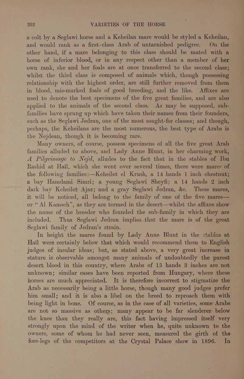 a colt by a Seglawi horse and a Keheilan mare would be styled a Keheilan, and would rank as a first-class Arab of untarnished pedigree. On the other hand, if a mare belonging to this class should be mated with a horse of inferior blood, or in any respect other than a member of her own rank, she and her foals are at once transferred to the second class; whilst the third class is composed of animals which, though possessing relationship with the highest order, are still further removed from them in blood, mis-marked foals of good breeding, and the like. Affixes are used to denote the best specimens of the five great families, and are also applied to the animals of the second class. As may be supposed, sub- families have sprung up which have taken their names from their founders, such as the Seglawi Jedran, one of the most sought-for classes; and though, perhaps, the Keheilans are the most numerous, the best type of Arabs is the Nejdean, though it is becoming rare. . Many owners, of course, possess specimens of all the five great Arab families alluded to above, and Lady Anne Blunt, in her charming work, A Pilgrimage to Nejd, alludes to the fact that in. the stables of Ibu Rashid at Hail, which she went over several times, there were mares of the following families:—Keheilet el Krush, a 14 hands 1 inch chestnut; a bay Hamdami Simri; a young Seglawi Sheyfi; a 14 hands 2 inch dark bay Keheilet Ajaz; and a gray Seglawi Jedran, &amp;. These mares, it will be noticed, all belong to the family of one of the five mares— or “ Al Kamsch”, as they are termed in the desert—whilst the affixes show the name of the breeder who founded the sub-family in which they are included. Thus Seglawi Jedran implies.that the mare is of the great Seglawi family of Jedran’s strain. In height the mares found by Lady Anne Blunt in the stables at Hail were certainly below that which would recommend them to English judges of insular ideas; but, as stated above, a very great increase in stature is observable amongst many animals of undoubtedly the purest desert blood in this country, where Arabs of 15 hands 3 inches are not unknown; similar cases have been reported from Hungary, where these horses are much appreciated. It is therefore incorrect to stigmatize the Arab as necessarily being a little horse, though many good judges prefer him small; and it is also a libel on the breed to reproach them with being light in bone. Of course, as in the case of all varieties, some Arabs are not so massive as others; many appear to be far slenderer below the knee than they really are, this fact having impressed itself very strongly upon the mind of the writer when he, quite unknown to the owners, some of whom he had never seen, measured the girth of the fore-legs of the competitors at the Crystal Palace show in 1896. In