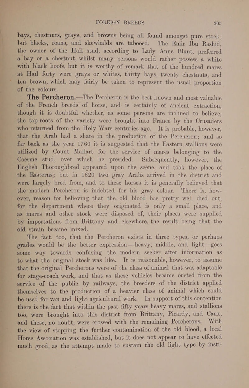 bays, chestnuts, grays, and browns being all found amongst pure stock; but blacks, roans, and skewbalds are tabooed. The Emir Ibu Rashid, the owner of the Hail stud, according to Lady Anne Blunt, preferred a bay or a chestnut, whilst many persons would rather possess a white with black ‘hoofs, but it is worthy of remark that of the hundred mares at Hail forty were grays or whites, thirty bays, twenty chestnuts, and ten brown, which may fairly be taken to represent the usual proportion of the colours. The Percheron.—The Percheron is the best known and most valuabie of the French breeds of horse, and is certainly of ancient extraction, though it is doubtful whether, as some persons are inclined to believe, the tap-roots of the variety were brought into France by the Crusaders who returned from the Holy Wars centuries ago. It is probable, however, that the Arab had a share in the production of the Percheron; and so far back as the year 1760 it is suggested that the Eastern stallions were utilized by Count Mallart for the service of mares belonging to the Coesme stud, over which he presided. Subsequently, however, the English Thoroughbred appeared upon the scene, and took the place of the Easterns; but in 1820 two gray Arabs arrived in the district and were largely bred from, and to these horses it is generally believed that the modern Percheron is indebted for his gray colour. There is, how- ever, reason for believing that the old blood has pretty well died out, for the department where they originated is only a small place, and as mares and other stock were disposed of, their places were supplied by importations from Brittany and elsewhere, the result being that the old strain became mixed. The fact, too, that the Percheron exists in three types, or perhaps grades would be the better expression—heavy, middle, and light—goes some way towards confusing the modern seeker after information as to what the original stock was like. It is reasonable, however, to assume that the original Percherons were of the class of animal that was adaptable for stage-coach work, and that as these vehicles became ousted from the service of the public by railways, the breeders of the district applied themselves to the production of a heavier class of animal which could be used for van and light agricultural work. In support of this contention there is the fact that within the past fifty years heavy mares, and stallions too, were brought into this district from Brittany, Picardy, and Caux, and these, no doubt, were crossed with the remaining Percherons. With the view of stopping the further contamination of the old blood, a local Horse Association was established, but it does not appear to have effected much good, as the attempt made to sustain the old light type by insti-
