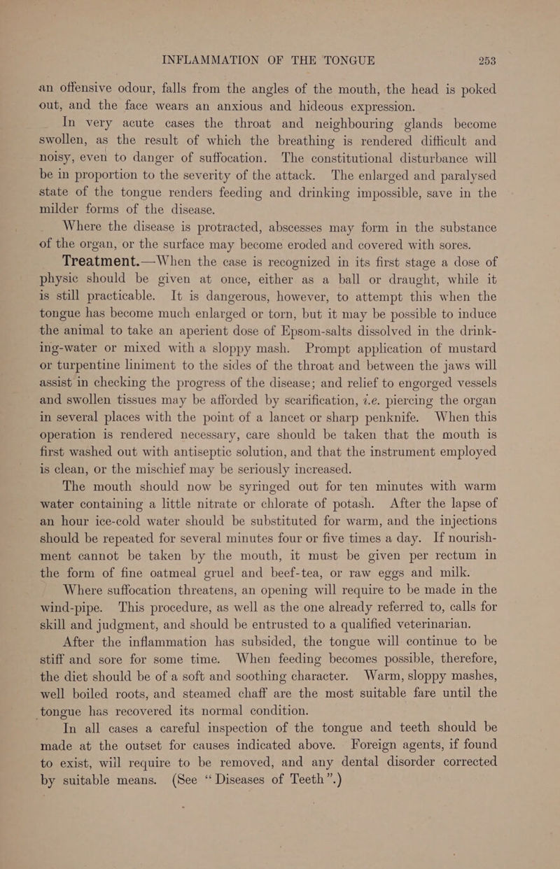 an offensive odour, falls from the angles of the mouth, the head is poked out, and the face wears an anxious and hideous expression. In very acute cases the throat and neighbouring glands become swollen, as the result of which the breathing is rendered difficult and noisy, even to danger of suffocation. The constitutional disturbance will be in proportion to the severity of the attack. The enlarged and paralysed state of the tongue renders feeding and drinking impossible, save in the milder forms of the disease. Where the disease is protracted, abscesses may form in the substance of the organ, or the surface may become eroded and covered with sores. Treatment.—When the case is recognized in its first stage a dose of physic should be given at once, either as a ball or draught, while it is still practicable. It is dangerous, however, to attempt this when the tongue has become much enlarged or torn, but it may be possible to induce the animal to take an aperient dose of Epsom-salts dissolved in the drink- ing-water or mixed with a sloppy mash. Prompt application of mustard or turpentine liniment to the sides of the throat and between the jaws will assist in checking the progress of the disease; and relief to engorged vessels and swollen tissues may be afforded by scarification, 7.e. piercing the organ in several places with the point of a lancet or sharp penknife. When this operation is rendered necessary, care should be taken that the mouth is first washed out with antiseptic solution, and that the instrument employed is clean, or the mischief may be seriously increased. The mouth should now be syringed out for ten minutes with warm water containing a little nitrate or chlorate of potash. After the lapse of an hour ice-cold water should be substituted for warm, and the injections should be repeated for several minutes four or five times a day. If nourish- ment cannot be taken by the mouth, it must be given per rectum in the form of fine oatmeal gruel and beef-tea, or raw eggs and milk. Where suffocation threatens, an opening will require to be made in the wind-pipe. This procedure, as well as the one already referred to, calls for skill and judgment, and should be entrusted to a qualified veterinarian. After the inflammation has subsided, the tongue will continue to be stiff and sore for some time. When feeding becomes possible, therefore, the diet should be of a soft and soothing character. Warm, sloppy mashes, well boiled roots, and steamed chaff are the most suitable fare until the tongue has recovered its normal condition. In all cases a careful inspection of the tongue and teeth should be made at the outset for causes indicated above. Foreign agents, if found to exist, will require to be removed, and any dental disorder corrected by suitable means. (See “ Diseases of Teeth ”.)