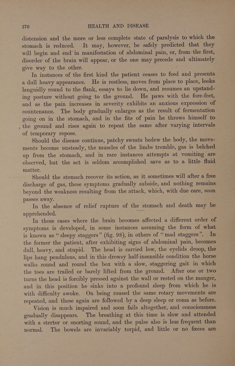 distension and the more or less complete state of paralysis to which the stomach is reduced. It may, however, be safely predicted that they will begin and end in manifestation of abdominal pain, or, fromthe first, disorder of the brain will appear, or the one may ee and ultimately give way to the other. In instances of the first kind the patient ceases to feed and presents: a dull heavy appearance. He is restless, moves from place to place, looks languidly round to the flank, essays to lie down, and resumes an upstand- ing posture without going to the ground. He paws with the fore-feet, ih as the pain increases in severity exhibits an anxious expression of countenance. The body gradually enlarges as the result of fermentation going on in the stomach, and in the fits of pain he throws himself to: _the ground and rises again to repeat the same after varying intervals of temporary repose. Should the disease continue, patchy sweats bedew the body, the move- ments become unsteady, the muscles of the limbs tremble, gas is belched up from the stomach, and in rare instances attempts at vomiting are: observed, but the act is seldom accomplished save as to a little fluid matter. Should the stomach recover its action, as it sometimes will after a free discharge of gas, these symptoms gradually subside, and nothing remains beyond the weakness resulting from the attack, which, with due care, soon passes away. | In the absence of relief rupture of the stomach and death may be apprehended. In those cases where the brain becomes affected a different order of symptoms is developed, in some instances assuming the form of what is known as “sleepy staggers” (fig. 98), in others of “mad staggers”. In the former the patient, after exhibiting signs of abdominal pain, becomes dull, heavy, and stupid. The head is carried low, the eyelids droop, the lips hang pendulous, and in this drowsy half-insensible condition the horse walks round and round the box with a slow, staggering gait in which the toes are trailed or barely lifted from the ground. After one or two turns the head is forcibly pressed against the wall or rested on the manger, and in this position he sinks into a profound sleep from which he is with difficulty awoke. On being roused the same rotary movements are repeated, and these again are followed by a deep sleep or coma as before. Vision is much impaired and soon fails altogether, and consciousness oradually disappears. The breathing at this time is slow and attended with a stertor or snorting sound, and the pulse also is less frequent than normal. The bowels are invariably torpid, and little or no feeces are