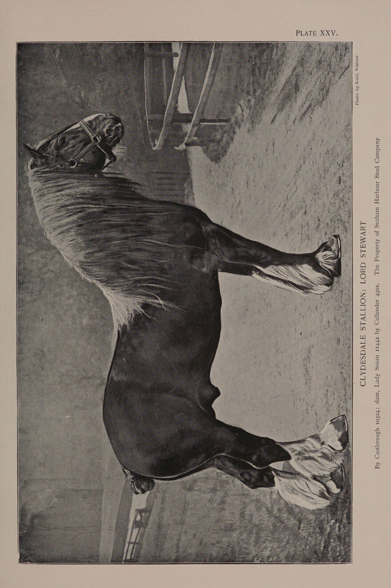 PLATE XXV ATYST AA « T Auvdwog pnig Inoqivzy weyvag jo Aylado1g ayy, LUVMALS GYOT ‘106h Japuaeg Aq ebbrr uesns Apey ‘wep ‘tz€or yseaiajisvg Ag “NOM AWeLSea ly Ist