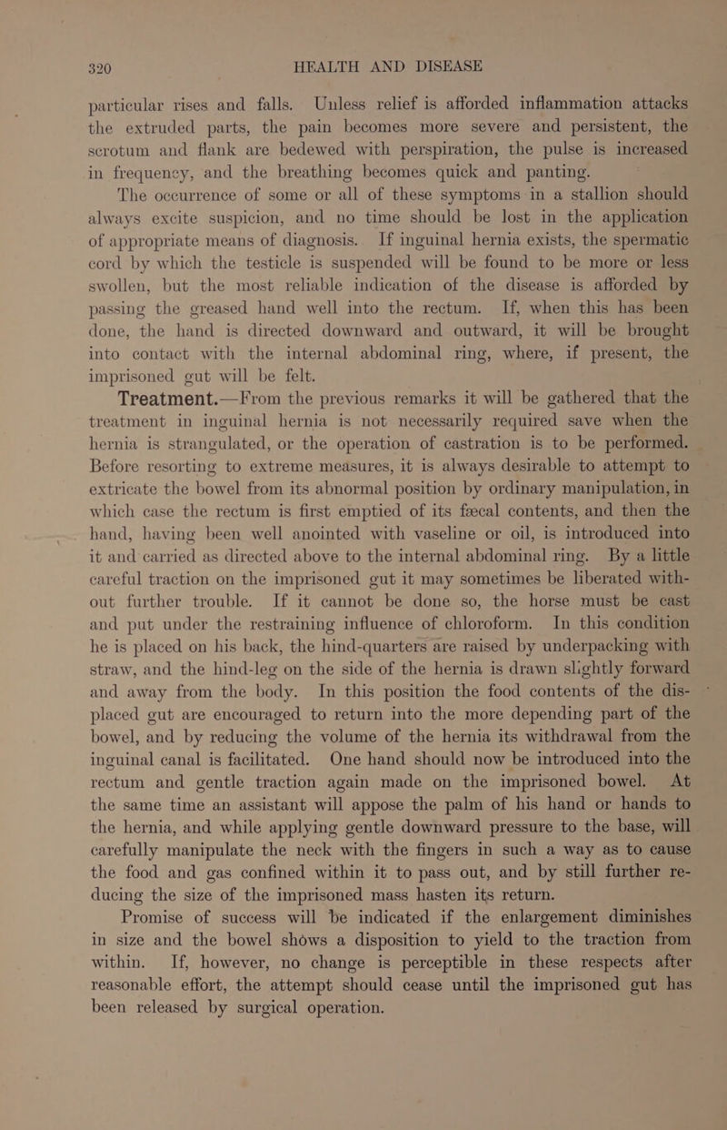 particular rises and falls. Unless relief is afforded inflammation attacks the extruded parts, the pain becomes more severe and persistent, the scrotum and flank are bedewed with perspiration, the pulse is increased in frequency, and the breathing becomes quick and panting. The occurrence of some or all of these symptoms in a stallion should always excite suspicion, and no time should be lost in the application of appropriate means of diagnosis. If inguinal hernia exists, the spermatic cord by which the testicle is suspended will be found to be more or less swollen, but the most reliable indication of the disease is afforded by passing the greased hand well into the rectum. If, when this has been done, the hand is directed downward and outward, it will be brought into contact with the internal abdominal ring, where, if present, the imprisoned gut will be felt. | Treatment.—From the previous remarks it will be gathered that the treatment in inguinal hernia is not necessarily required save when the hernia is strangulated, or the operation of castration is to be performed. Before resorting to extreme measures, it 1s always desirable to attempt to extricate the bowel from its abnormal position by ordinary manipulation, in which case the rectum is first emptied of its feecal contents, and then the hand, having been well anointed with vaseline or oil, is introduced into it and carried as directed above to the internal abdominal ring. By a little careful traction on the imprisoned gut it may sometimes be liberated with- out further trouble. If it cannot be done so, the horse must be cast and put under the restraining influence of chloroform. In this condition he is placed on his back, the hind-quarters are raised by underpacking with straw, and the hind-leg on the side of the hernia is drawn slightly forward and away from the body. In this position the food contents of the dis- placed gut are encouraged to return into the more depending part of the bowel, and by reducing the volume of the hernia its withdrawal from the inguinal canal is facilitated. One hand should now be introduced into the rectum and gentle traction again made on the imprisoned bowel. At the same time an assistant will appose the palm of his hand or hands to the hernia, and while applying gentle downward pressure to the base, will carefully manipulate the neck with the fingers in such a way as to cause the food and gas confined within it to pass out, and by still further re- ducing the size of the imprisoned mass hasten its return. Promise of success will be indicated if the enlargement diminishes in size and the bowel shows a disposition to yield to the traction from within. If, however, no change is perceptible in these respects after reasonable effort, the attempt should cease until the imprisoned gut has been released by surgical operation.
