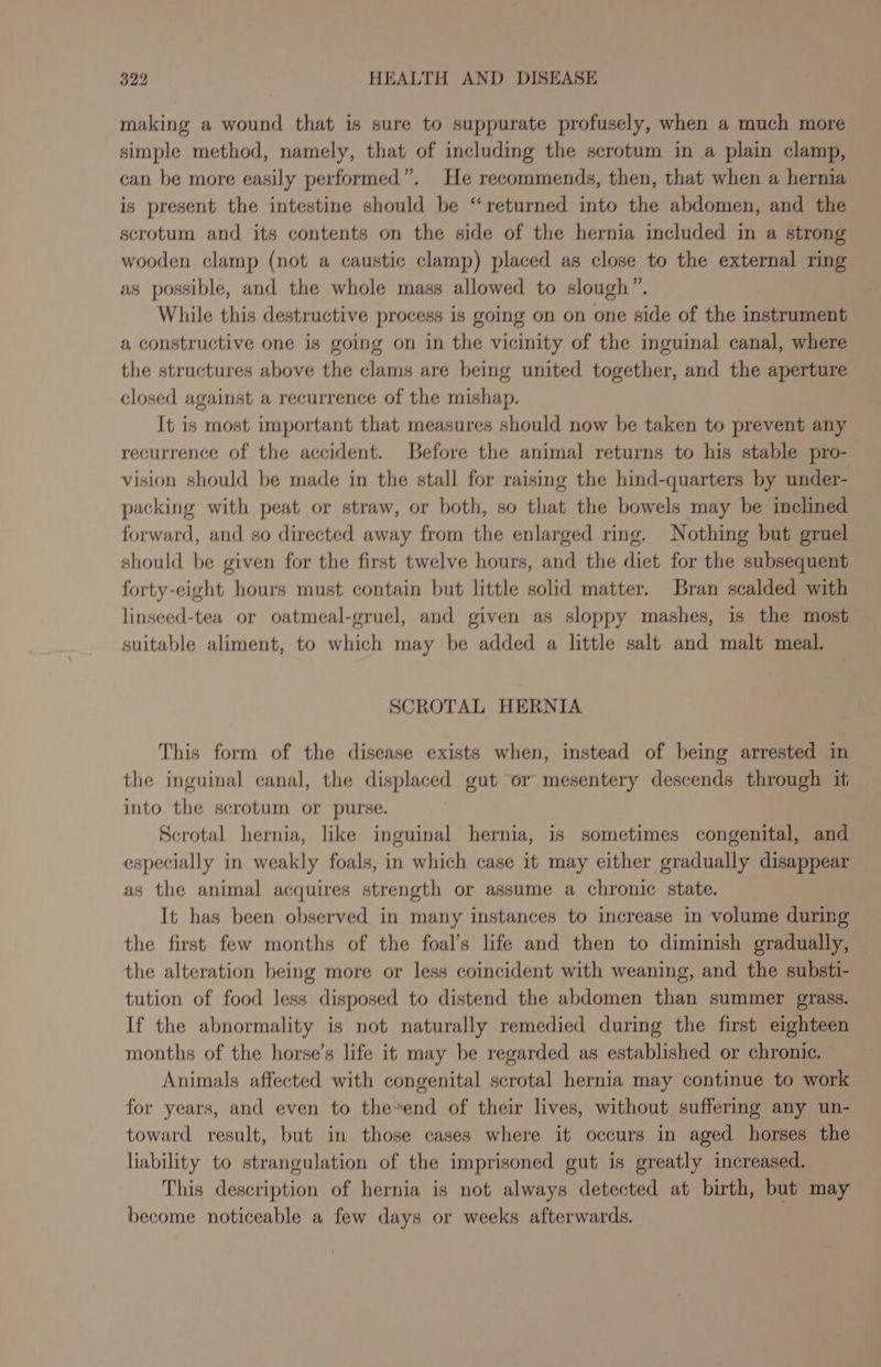 making a wound that is sure to suppurate profusely, when a much more simple method, namely, that of including the scrotum in a plain clamp, can be more easily performed”. He recommends, then, that when a hernia is present the intestine should be “returned into the abdomen, and the scrotum and its contents on the side of the hernia included in a strong wooden clamp (not a caustic clamp) placed as close to the external ring as possible, and the whole mass allowed to slough”. While this destructive process is going on on one side of the instrument a constructive one is going on in the vicinity of the inguinal canal, where the structures above the clams are being united together, and the aperture closed against a recurrence of the mishap. It is most important that measures should now be taken to prevent any recurrence of the accident. Before the animal returns to his stable pro- vision should be made in the stall for raising the hind-quarters by under- packing with peat or straw, or both, so that the bowels may be inclined forward, and so directed away from the enlarged ring. Nothing but gruel should be given for the first twelve hours, and the diet for the subsequent forty-eight hours must contain but little solid matter. Bran scalded with linseed-tea or oatmeal-gruel, and given as sloppy mashes, is the most suitable aliment, to which may be added a little salt and malt meal. SCROTAL HERNIA This form of the disease exists when, instead of being arrested in the inguinal canal, the displaced gut or mesentery descends through if into the scrotum or purse. Scrotal hernia, like inguinal hernia, is sometimes congenital, and especially in weakly foals, in which case it may either gradually disappear as the animal acquires strength or assume a chronic state. It has been observed in many instances to increase in volume during the first few months of the foal’s life and then to diminish gradually, the alteration being more or less coincident with weaning, and the substi- tution of food less disposed to distend the abdomen than summer grass. If the abnormality is not naturally remedied during the first eighteen months of the horse’s life it may be regarded as established or chronic. Animals affected with congenital scrotal hernia may continue to work for years, and even to the*end of their lives, without suffering any un- toward result, but in those cases where it occurs in aged horses the liability to strangulation of the imprisoned gut is greatly increased. This description of hernia is not always detected at birth, but may become noticeable a few days or weeks afterwards.