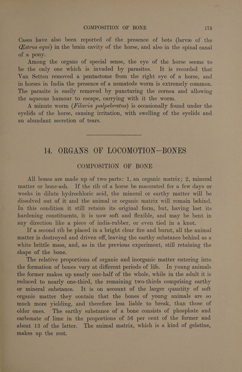 Cases have also been reported of the presence of bots (larve of the Gstrus equi) in the brain cavity of the horse, and also in the spinal canal of a pony. Among the organs of special sense, the eye of the horse seems to be the only one which is invaded by parasites. It is recorded that Van Setten removed a pentastome from the right eye of a horse, and in horses in India the presence of a nematode worm is extremely common. The parasite is easily removed by puncturing the cornea and allowing the aqueous humour to escape, carrying with it the worm. A minute worm (filaria palpebratus) is occasionally found under the eyelids of the horse, causing irritation, with swelling of the eyelids and an abundant secretion of tears. 14. ORGANS OF LOCOMOTION—BONES COMPOSITION OF BONE All bones are made up of two parts: 1, an organic matrix; 2, mineral matter or bone-ash. If the rib of a horse be macerated for a few days or weeks in dilute hydrochloric acid, the mineral or earthy matter will be dissolved out of it and the animal or organic matrix will remain behind. In this condition it still retains its original form, but, having lost its hardening constituents, it is now soft and flexible, and may be bent in any direction like a piece of india-rubber, or even tied in a knot. If a second rib be placed in a bright clear fire and burnt, all the animal matter is destroyed and driven off, leaving the earthy substance behind as a white brittle mass, and, as in the previous experiment, still retaining the shape of the bone. | The relative proportions of organic and inorganic matter entering into the formation of bones vary at different periods of life. In young animals the former makes up nearly one-half of the whole, while in the adult it is reduced to nearly one-third, the remaining two-thirds comprising earthy or mineral substance. It is on account of the larger quantity of soft organic matter they contain that the bones of young animals are so much more yielding, and therefore less liable to break, than those of older ones. The earthy substance of a bone consists of phosphate and carbonate of lime in the proportions of 56 per cent of the former and about 13 of the latter. The animal matrix, which is a kind of gelatine, makes up the rest.
