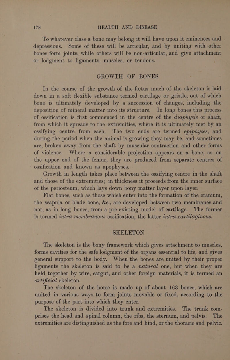 To whatever class a bone may belong it will have upon it eminences and . depressions. Some of these will be articular, and by uniting with other bones form joints, while others will be non-articular, and give attachment or lodgment to ligaments, muscles, or tendons. i] GROWTH OF BONES In the course of the growth of the foetus much of the skeleton is laid down in a soft flexible substance termed cartilage or gristle, out of which bone is ultimately developed by a succession of changes, including the deposition of mineral matter into its structure. In long bones this process of ossification is first commenced in the centre of the diaphysis or shaft, from which it spreads to the extremities, where it is ultimately met by an ossifying centre from each. The two ends are termed epuphyses, and during the period when the animal is growing they may be, and sometimes are, broken away from the shaft by muscular contraction and other forms of violence. Where a considerable projection appears on a bone, as on the upper end of the femur, they are produced from separate centres of ossification and known as apophyses. Growth in length takes place between the ossifying centre in the shaft and those of the extremities; in thickness it proceeds from the inner surface of the periosteum, which lays down bony matter layer upon layer. Flat bones, such as those which enter into the formation of the cranium, the scapula or blade bone, &amp;c., are developed between two membranes and not, as in long bones, from a pre-existing model of cartilage. The former is termed intra-membranous ossification, the latter intra-cartilaginous. SKELETON The skeleton is the bony framework which gives attachment to muscles, forms cavities for the safe lodgment of the organs essential to life, and gives general support to the body. When the bones are united by their proper ligaments the skeleton is said to be a natural one, but when they are held together by wire, catgut, and other foreign materials, it is termed an artificial skeleton. The skeleton of the horse is made up of about 163 bones, which are united in various ways to form joints movable or fixed, according to the purpose of the part into which they enter. The skeleton is divided into trunk and extremities. The trunk com- prises the head and spinal column, the ribs, the sternum, and pelvis. The extremities are distinguished as the fore and hind, or the thoracic and pelvic.