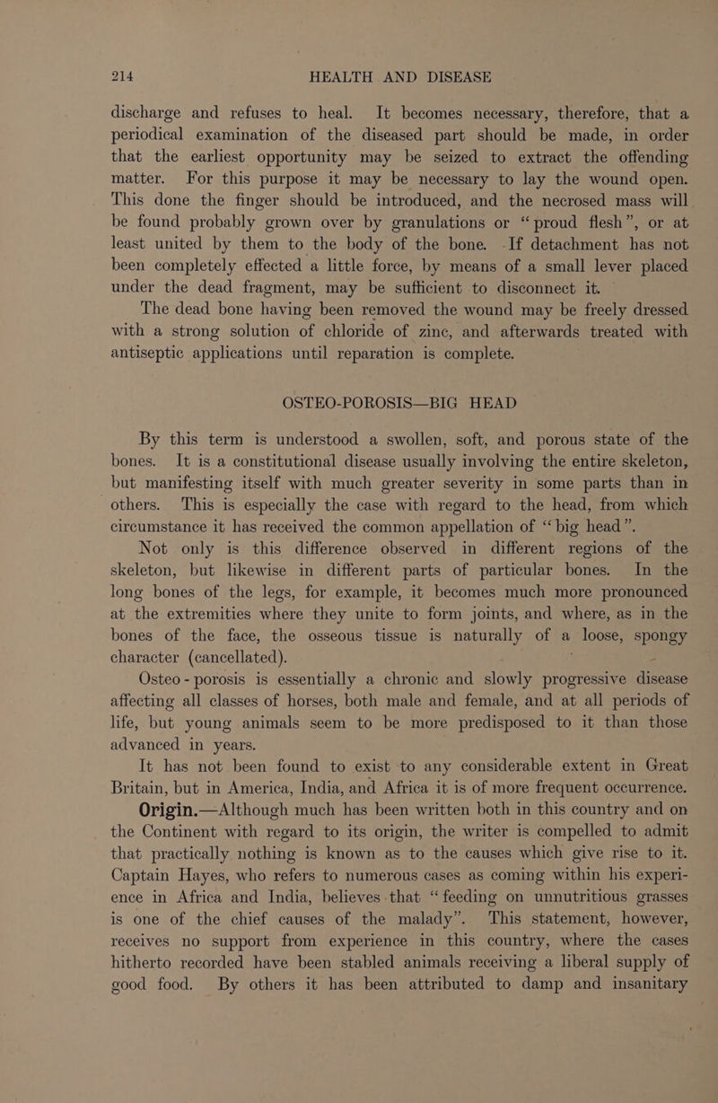 discharge and refuses to heal. It becomes necessary, therefore, that a periodical examination of the diseased part should be made, in order that the earliest opportunity may be seized to extract the offending matter. or this purpose it may be necessary to lay the wound open. This done the finger should be introduced, and the necrosed mass will be found probably grown over by granulations or “proud flesh”, or at least united by them to the body of the bone. -If detachment has not been completely effected a little force, by means of a small lever placed under the dead fragment, may be suflicient to disconnect it. The dead bone having been removed the wound may be freely dressed with a strong solution of chloride of zinc, and afterwards treated with antiseptic applications until reparation is complete. OSTEO-POROSIS—BIG HEAD By this term is understood a swollen, soft, and porous state of the bones. It is a constitutional disease usually involving the entire skeleton, but manifesting itself with much greater severity in some parts than in others. This is especially the case with regard to the head, from which circumstance it has received the common appellation of “big head ”. Not only is this difference observed in different regions of the skeleton, but likewise in different parts of particular bones. In the long bones of the legs, for example, it becomes much more pronounced at the extremities where they unite to form joints, and where, as in the bones of the face, the osseous tissue is naturally of a loose, spongy character (cancellated). - Osteo - porosis is essentially a chronic and slowly ee disease affecting all classes of horses, both male and female, and at all periods of life, but young animals seem to be more predisposed to it than those advanced in years. | It has not been found to exist to any considerable extent in Great Britain, but in America, India, and Africa it is of more frequent occurrence. Origin.—Although much has been written both in this country and on the Continent with regard to its origin, the writer is compelled to admit that practically nothing is known as to the causes which give rise to it. Captain Hayes, who refers to numerous cases as coming within his experi- ence in Africa and India, believes-that “feeding on unnutritious grasses is one of the chief causes of the malady”. This statement, however, receives no support from experience in this country, where the cases hitherto recorded have been stabled animals receiving a liberal supply of good food. By others it has been attributed to damp and insanitary