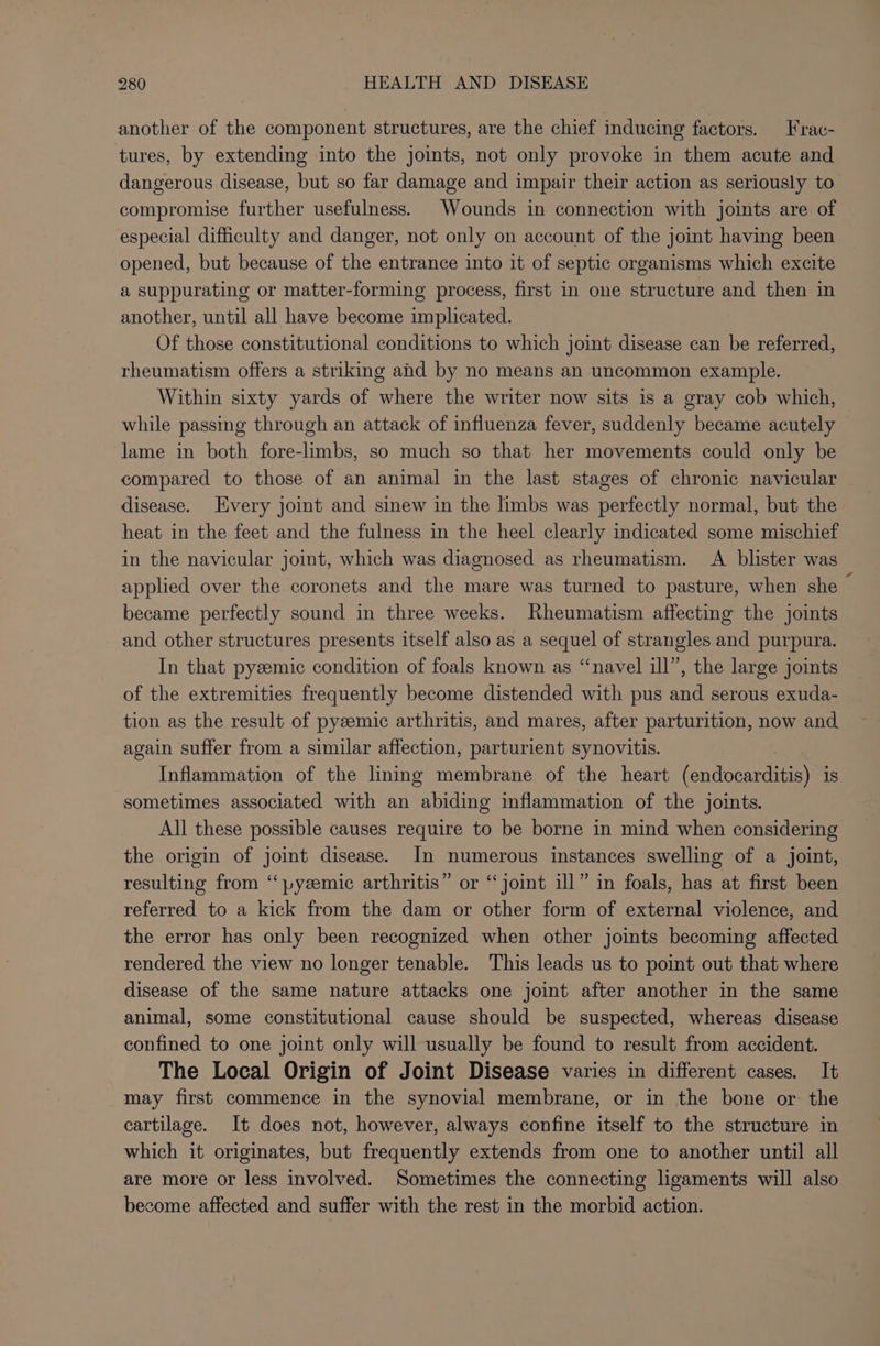 another of the component structures, are the chief inducing factors. Frac- tures, by extending into the joints, not only provoke in them acute and dangerous disease, but so far damage and impair their action as seriously to compromise further usefulness. Wounds in connection with joints are of especial difficulty and danger, not only on account of the jomt having been opened, but because of the entrance into it of septic organisms which excite a suppurating or matter-forming process, first in one structure and then in another, until all have become implicated. Of those constitutional conditions to which joint disease can be referred, rheumatism offers a striking ahd by no means an uncommon example. Within sixty yards of where the writer now sits is a gray cob which, while passing through an attack of influenza fever, suddenly became acutely lame in both fore-limbs, so much so that her movements could only be compared to those of an animal in the last stages of chronic navicular disease. Every joint and sinew in the limbs was perfectly normal, but the heat in the feet and the fulness in the heel clearly indicated some mischief in the navicular joint, which was diagnosed as rheumatism. A blister was applied over the coronets and the mare was turned to pasture, when she ~ became perfectly sound in three weeks. Rheumatism affecting the joints and other structures presents itself also as a sequel of strangles and purpura. In that pyezemic condition of foals known as “navel ill’, the large joints of the extremities frequently become distended with pus and serous exuda- tion as the result of pyeemic arthritis, and mares, after parturition, now and again suffer from a similar affection, parturient synovitis. Inflammation of the lining membrane of the heart fenton es is sometimes associated with an abiding inflammation of the joints. All these possible causes require to be borne in mind when considering the origin of joint disease. In numerous instances swelling of a joint, resulting from ‘“pysemic arthritis” or “joint ill” in foals, has at first been referred to a kick from the dam or other form of external violence, and the error has only been recognized when other joints becoming affected rendered the view no longer tenable. This leads us to point out that where disease of the same nature attacks one joint after another in the same animal, some constitutional cause should be suspected, whereas disease confined to one joint only will usually be found to result from accident. The Local Origin of Joint Disease varies in different cases. It may first commence in the synovial membrane, or in the bone or. the cartilage. It does not, however, always confine itself to the structure in which it originates, but frequently extends from one to another until all are more or less involved. Sometimes the connecting ligaments will also become affected and suffer with the rest in the morbid action.
