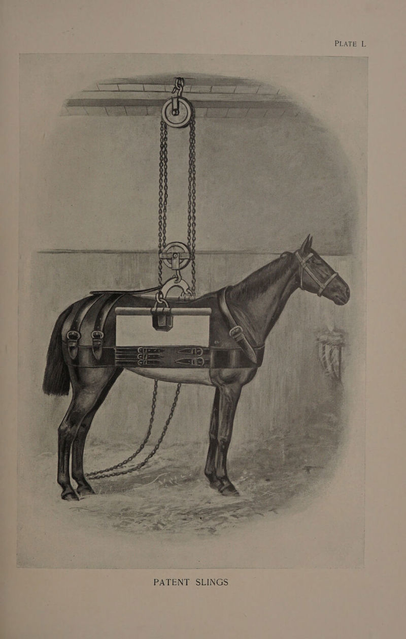 PLATE L PATENT SLINGS