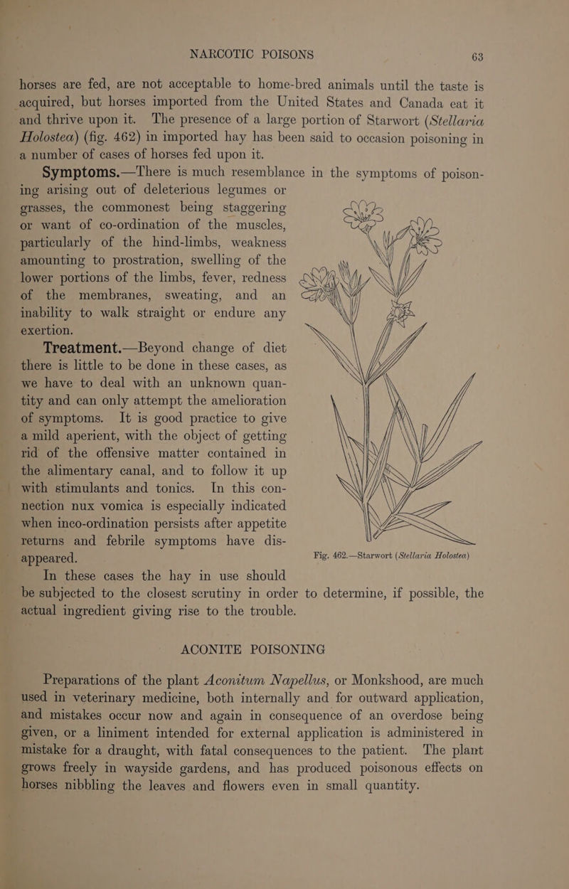 horses are fed, are not acceptable to home-bred animals until the taste is acquired, but horses imported from the United States and Canada eat it and thrive upon it. The presence of a large portion of Starwort (Stellaria Holostea) (fig. 462) in imported hay has been said to occasion poisoning in a number of cases of horses fed upon it. Symptoms.—There is much resemblance in the symptoms of poison- ing arising out of deleterious legumes or grasses, the commonest being staggering or want of co-ordination of the muscles, particularly of the hind-limbs, weakness amounting to prostration, swelling of the lower portions of the limbs, fever, redness of the membranes, sweating, and an inability to walk straight or endure any exertion. : Treatment.—Beyond change of diet there is little to be done in these cases, as we have to deal with an unknown quan- tity and can only attempt the amelioration of symptoms. It is good practice to give a mild aperient, with the object of getting rid of the offensive matter contained in the alimentary canal, and to follow it up with stimulants and tonics. In this con- nection nux vomica is especially indicated when inco-ordination persists after appetite returns and febrile symptoms have dis- appeared. Fig. 462.—Starwort (Stellaria Holostea) In these cases the hay in use should be subjected to the closest scrutiny in order to determine, if possible, the actual ingredient giving rise to the trouble. ACONITE POISONING Preparations of the plant Aconitum Napellus, or Monkshood, are much used in veterinary medicine, both internally and for outward application, and mistakes occur now and again in consequence of an overdose being given, or a liniment intended for external application is administered in mistake for a draught, with fatal consequences to the patient. The plant grows freely in wayside gardens, and has produced poisonous effects on horses nibbling the leaves and flowers even in small quantity.