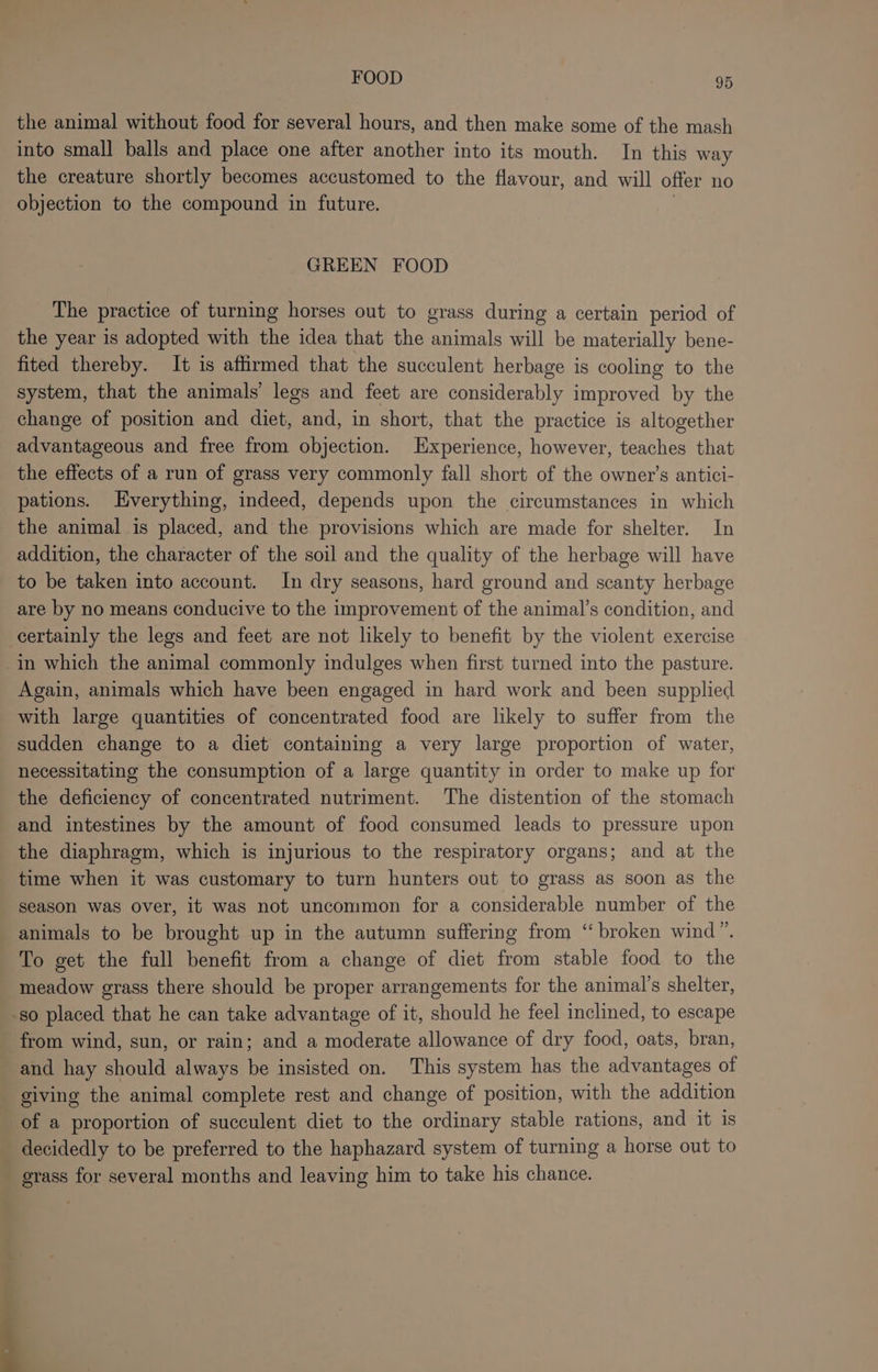 the animal without food for several hours, and then make some of the mash into small balls and place one after another into its mouth. In this way the creature shortly becomes accustomed to the flavour, and will offer no objection to the compound in future. GREEN FOOD The practice of turning horses out to grass during a certain period of the year is adopted with the idea that the animals will be materially bene- fited thereby. It is affirmed that the succulent herbage is cooling to the system, that the animals’ legs and feet are considerably improved by the change of position and diet, and, in short, that the practice is altogether advantageous and free from objection. Experience, however, tenehes that the effects of a run of grass very commonly fall short of the owner’s antici- pations. Everything, indeed, depends upon the circumstances in which the animal is placed, and the provisions which are made for shelter. In addition, the character of the soil and the quality of the herbage will have to be taken into account. In dry seasons, hard ground and scanty herbage are by no means conducive to the improvement of the animal’s condition, and certainly the legs and feet are not likely to benefit by the violent exercise -In which the animal commonly indulges when first turned into the pasture. Again, animals which have been engaged in hard work and been supplied with large quantities of concentrated food are likely to suffer from the sudden change to a diet containing a very large proportion of water, necessitating the consumption of a large quantity in order to make up for the deficiency of concentrated nutriment. The distention of the stomach and intestines by the amount of food consumed leads to pressure upon the diaphragm, which is injurious to the respiratory organs; and at the time when it was customary to turn hunters out to grass as soon as the season was over, it was not uncommon for a considerable number of the animals to be brought up in the autumn suffering from “ broken wind”. To get the full benefit from a change of diet from stable food to the meadow grass there should be proper arrangements for the animal's shelter, -so placed that he can take advantage of it, should he feel inclined, to escape from wind, sun, or rain; and a moderate allowance of dry food, oats, bran, and hay should always be insisted on. This system has the advantages of _ giving the animal complete rest and change of position, with the addition of a proportion of succulent diet to the ordinary stable rations, and it 1s decidedly to be preferred to the haphazard system of turning a horse out to grass for several months and leaving him to take his chance.
