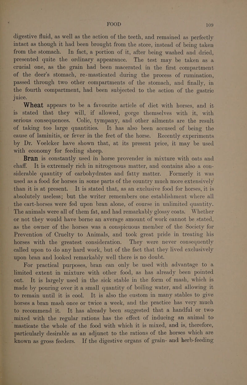 ~~ 2 ; FOOD : 109 digestive fluid, as well as the action of the teeth, and remained as perfectly intact as though it had been brought from the store, instead of being taken from the stomach. In fact, a portion of it, after being washed and dried, presented quite the ordinary appearance. The test may be taken as a crucial one, as the grain had been macerated in the first compartment of the deer’s stomach, re-masticated during the process of rumination, passed through two other compartments of the stomach, and finally, in the fourth compartment, had been subjected to the action of the gastric juice. Wheat appears to be a favourite article of diet with horses, and it is stated that they will, if allowed, gorge themselves with it, with serious consequences. Colic, tympany, and other ailments are the result of taking too large quantities. It has also been accused of being the cause of laminitis, or fever in the feet of the horse. Recently experiments by Dr. Voelcker have shown that, at its present price, it may be used with economy for feeding sheep. Bran is constantly used in horse provender in mixture with oats and chaff. It is extremely rich in nitrogenous matter, and contains also a con- siderable quantity of carbohydrates and fatty matter. Formerly it was used as a food for horses in some parts of the country much more extensively than it is at present. It is stated that, as an exclusive food for horses, it is absolutely useless; but the writer remembers one establishment where all the cart-horses were fed upon bran alone, of course in unlimited quantity. The animals were all of them fat, and had remarkably glossy coats. Whether or not they would have borne an average amount of work cannot be stated, as the owner of the horses was a conspicuous member of the Society for Prevention of Cruelty to Animals, and took great pride in treating his horses with the greatest consideration. They were never consequently called upon to do any hard work, but of the fact that they lived exclusively upon bran and looked remarkably well there is no doubt. For practical purposes, bran can only be used with advantage to a limited extent in mixture with other food, as has already been pointed out. It is largely used in the sick stable in the form of mash, which is ‘made by pouring over it a small quantity of boiling water, and allowing it to remain until it is cool. It is also the custom in many stables to give horses a bran mash once or twice a week, and the practice has very much to recommend it. It has already been suggested that a handful or two mixed with the regular rations has the effect of inducing an animal to “masticate the whole of the food with which it is mixed, and is, therefore, particularly desirable as an adjunct to the rations of the horses which are known as gross feeders. If the digestive organs of grain- and herb-feeding