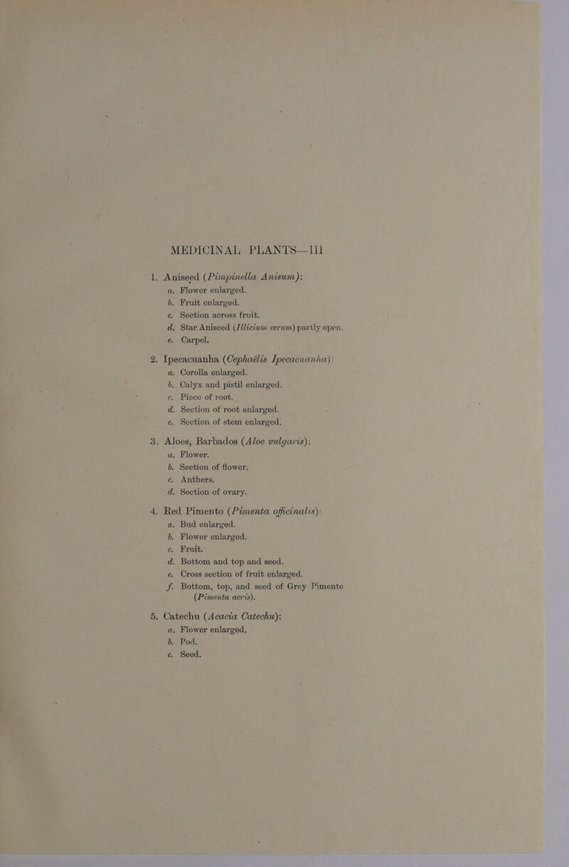¢. é. 6 ¢. d “Ms aeoe, Flower enlarged. Section across fruit. Star Aniseed (Zlliciwm verwm) partly open. Carpel. Corolla enlarged. Calyx and pistil enlarged. Piece of root. Section of root enlarged. Section of stem enlarged. Flower. Anthers. Flower enlarged. Fruit. Cross section of fruit enlarged. Bottom, top, and seed of Grey Pimente (Pimenta acris). Flower enlarged, Pod. Seed.