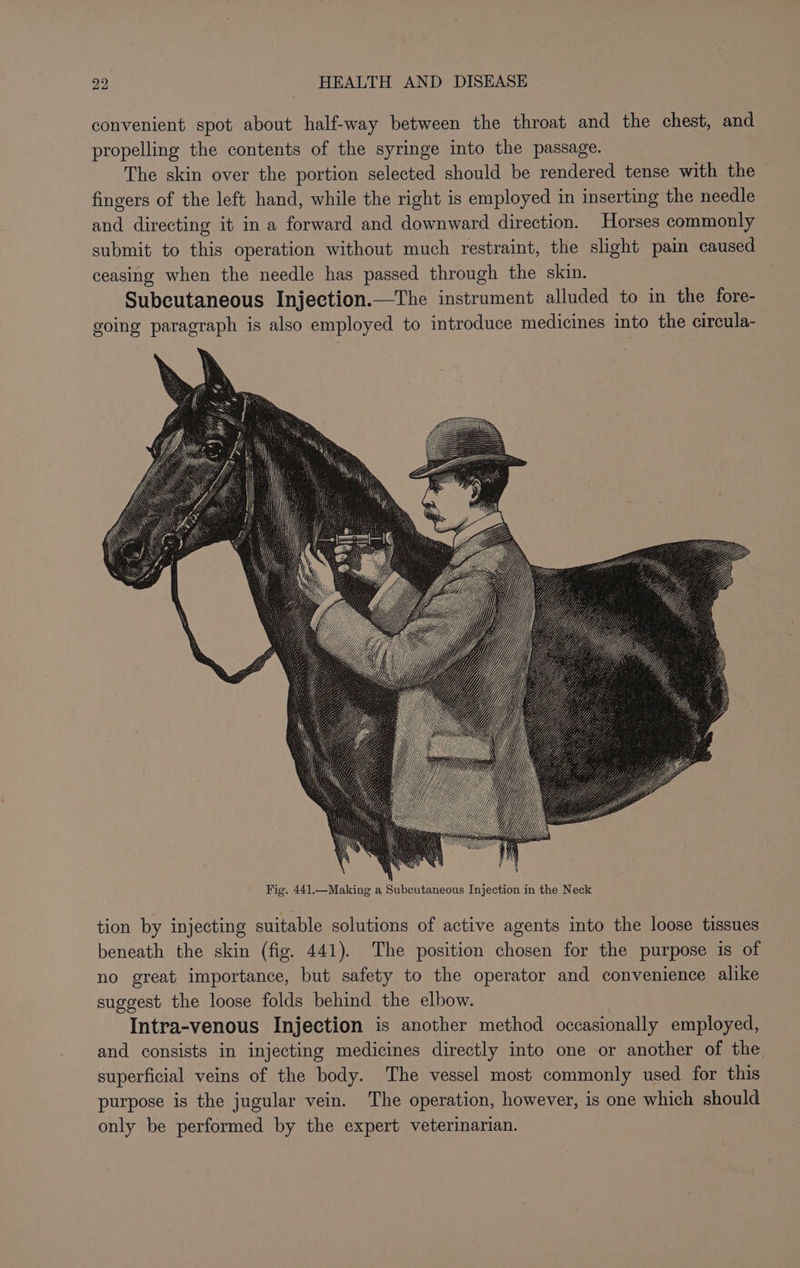 convenient spot about half-way between the throat and the chest, and propelling the contents of the syringe into the passage. The skin over the portion selected should be rendered tense with the fingers of the left hand, while the right is employed in inserting the needle and directing it in a forward and downward direction. Horses commonly submit to this operation without much restraint, the slight pain caused ceasing when the needle has passed through the skin. Subcutaneous Injection.—The instrument alluded to in the fore- going paragraph is also employed to introduce medicines into the cireula- tion by injecting suitable solutions of active agents into the loose tissues beneath the skin (fig. 441). The position chosen for the purpose is of no great importance, but safety to the operator and convenience alike suggest the loose folds behind the elbow. Intra-venous Injection is another method occasionally employed, and consists in injecting medicines directly into one or another of the. superficial veins of the body. The vessel most commonly used for this purpose is the jugular vein. The operation, however, is one which should only be performed by the expert veterinarian.
