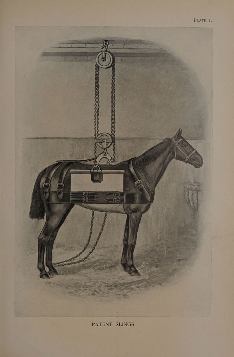 PATENT SLINGS