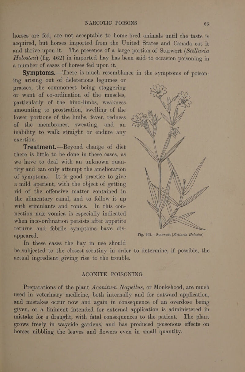 horses are fed, are not acceptable to home-bred animals until the taste is acquired, but horses imported from the United States and Canada eat it and thrive upon it. The presence of a large portion of Starwort (Stellaria Holostea) (fig. 462) in imported hay has been said to occasion poisoning in a number of cases of horses fed upon it. Symptoms.—There is much resemblance in the symptoms of poison- ing arising out of deleterious legumes or grasses, the commonest being staggering or want of co-ordination of the muscles, particularly of the hind-limbs, weakness amounting to prostration, swelling of the lower portions of the limbs, fever, redness of the membranes, sweating, and an inability to walk straight or endure any exertion. Treatment.—Beyond change of diet there is little to be done in these cases, as we have to deal with an unknown quan- tity and can only attempt the amelioration of symptoms. It is good practice to give a mild aperient, with the object of getting rid of the offensive matter contained in the alimentary canal, and to follow it up with stimulants and tonics. In this con- nection nux vomica is especially indicated when inco-ordination persists after appetite returns and febrile symptoms have dis- appeared. Fig. 462.—Starwort (Stellaria Holostea) In these cases the hay in use should be subjected to the closest scrutiny in order to determine, if possible, the actual ingredient. giving rise to the trouble. ACONITE POISONING Preparations of the plant Aconitum Napellus, or Monkshood, are much used in veterinary medicine, both internally and for outward application, and mistakes occur now and again in consequence of an overdose being given, or a liniment intended for external application is administered in mistake for a draught, with fatal consequences to the patient. The plant _ grows freely in wayside gardens, and has produced poisonous effects on horses nibbling the leaves and flowers even in small quantity.