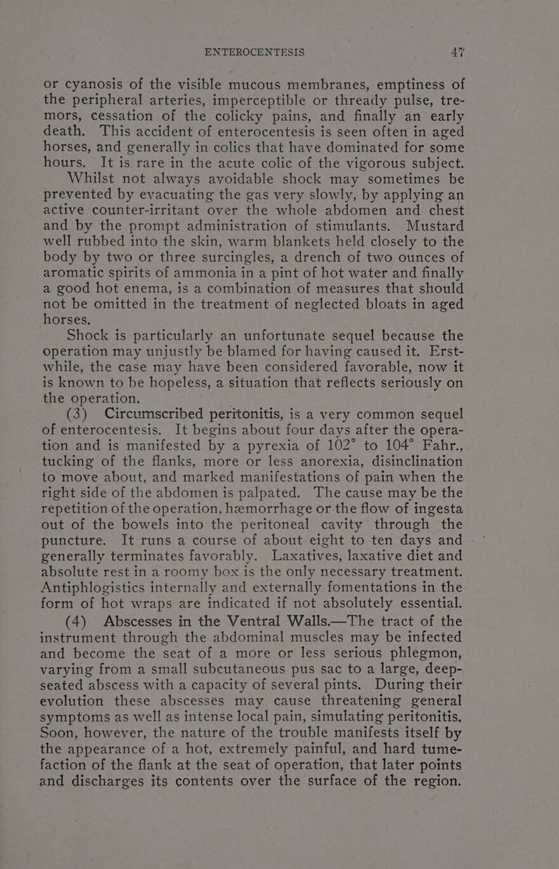 or cyanosis of the visible mucous membranes, emptiness of the peripheral arteries, imperceptible or thready pulse, tre- mors, cessation of the colicky pains, and finally an early death. This accident of enterocentesis is seen often in aged horses, and generally in colics that have dominated for some hours. It is rare in the acute colic of the vigorous subject. Whilst not always avoidable shock may sometimes be prevented by evacuating the gas very slowly, by applying an active counter-irritant over the whole abdomen and chest and by the prompt administration of stimulants. Mustard well rubbed into the skin, warm blankets held closely to the body by two or three surcingles, a drench of two ounces of aromatic spirits of ammonia in a pint of hot water and finally a good hot enema, is a combination of measures that should not be omitted in the treatment of neglected bloats in aged horses. Shock is particularly an unfortunate sequel because the operation may unjustly be blamed for having caused it. Erst- while, the case may have been considered favorable, now it is known to be hopeless, a situation that reflects seriously on the operation. (3) Circumscribed peritonitis, is a very common sequel of enterocentesis. It begins about four days after the opera- tion and is manifested by a pyrexia of 102° to 104° Fahr., tucking of the flanks, more or less anorexia, disinclination to move about, and marked manifestations of pain when the right side of the abdomen is palpated. The cause may be the repetition of the operation, hemorrhage or the flow of ingesta out of the bowels into the peritoneal cavity through the puncture. It runs a course of about eight to ten days and generally terminates favorably. Laxatives, laxative diet and absolute rest in a roomy box is the only necessary treatment. Antiphlogistics internally and externally fomentations in the form of hot wraps are indicated if not absolutely essential. (4) Abscesses in the Ventral Walls——The tract of the instrument through the abdominal muscles may be infected and become the seat of a more or less serious phlegmon, varying from a small subcutaneous pus sac to a large, deep- seated abscess with a capacity of several pints. During their evolution these abscesses may cause threatening general symptoms as well as intense local pain, simulating peritonitis. Soon, however, the nature of the trouble manifests itself by the appearance of a hot, extremely painful, and hard tume- faction of the flank at the seat of operation, that later points and discharges its contents over the surface of the region.