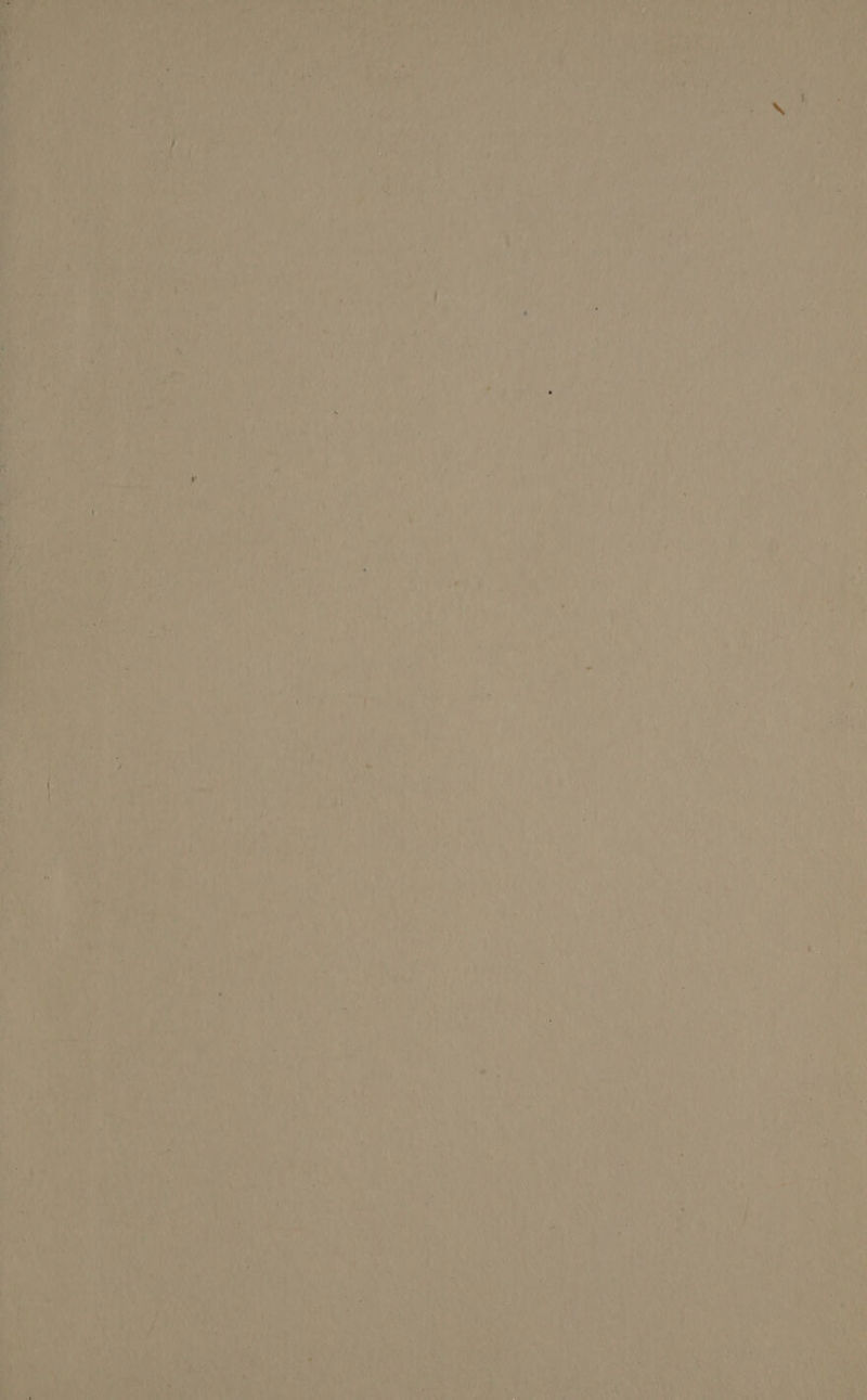 ch rien hay ; peas i bas | Lye nee x, . ® rv 4 ah td 2