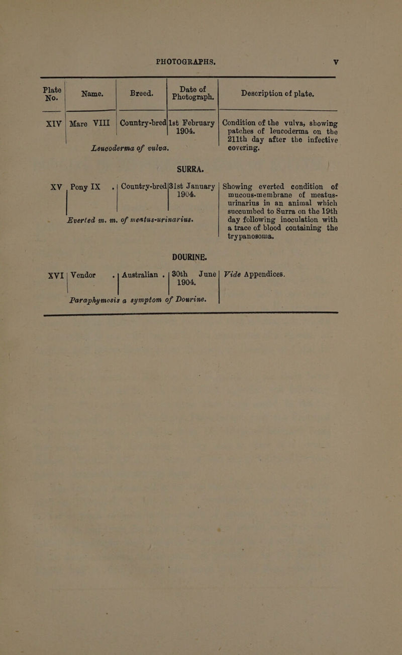 Breed. Date of Photograph. Description of plate. Name. XIV | Mare VIII | Country-bred|1st February | Condition of the vulva, showing 1904. patches of leucoderma on the 211th day after the infective Leucoderma of vulva. covering. SURRA. XV Pony IX _ .| Country-bred|31st January | Showing everted condition of mucous-membrane of meatus- urinarius in an animal which succumbed to Surra on the 19th Everted m. m. of meatus-urinarius. day following inoculation with a trace of blood containing the try panosoma, DOURINE. Vendor .) Australian . XVI 30th June] Vide Appendices. 1 904, Paraphymosis a symptom of Dowrine. &lt;&lt;