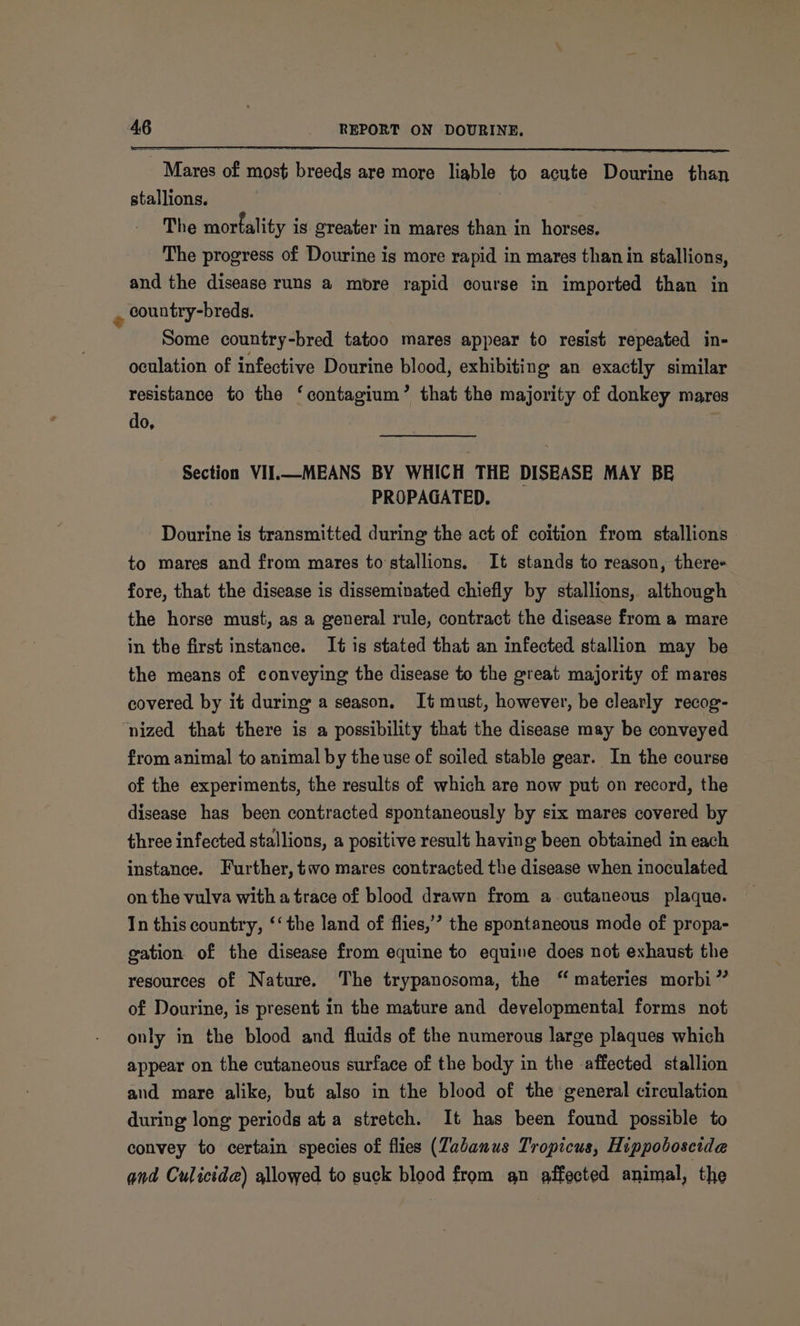 Mares of most breeds are more liable to acute Dourine than stallions. The mortality is greater in mares than in horses. The progress of Dourine is more rapid in mares than in stallions, and the disease runs a more rapid course in imported than in country-breds. Some country-bred tatoo mares appear to resist repeated in- oculation of infective Dourine blood, exhibiting an exactly similar resistance to the ‘contagium’ that the majority of donkey mares do, e Section VII.—MEANS BY WHICH THE DISEASE MAY BE PROPAGATED. Dourine is transmitted during the act of coition from stallions to mares and from mares to'stallions. It stands to reason, there- fore, that the disease is disseminated chiefly by stallions, although the horse must, as a general rule, contract the disease from a mare in the first instance. It is stated that an infected stallion may be the means of conveying the disease to the great majority of mares covered by it during a season, It must, however, be clearly recog- ‘nized that there is a possibility that the disease may be conveyed from animal to animal by the use of soiled stable gear. In the course of the experiments, the results of which are now put on record, the disease has been contracted spontaneously by six mares covered by three infected stallions, a positive result having been obtained in each instance. Further, two mares contracted the disease when inoculated on the vulva with a trace of blood drawn from a cutaneous plaque. In this country, ‘‘ the land of flies,’ the spontaneous mode of propa- gation of the disease from equine to equine does not exhaust the resources of Nature. The trypanosoma, the “ materies morbi” of Dourine, is present in the mature and developmental forms not only in the blood and fluids of the numerous large plaques which appear on the cutaneous surface of the body in the affected stallion and mare alike, bué also in the blood of the general circulation during long periods at a stretch. It has been found possible to convey to certain species of flies (Zabanus Tropicus, Hippoboscide and Culicida) allowed to suck blood from an affected animal, the