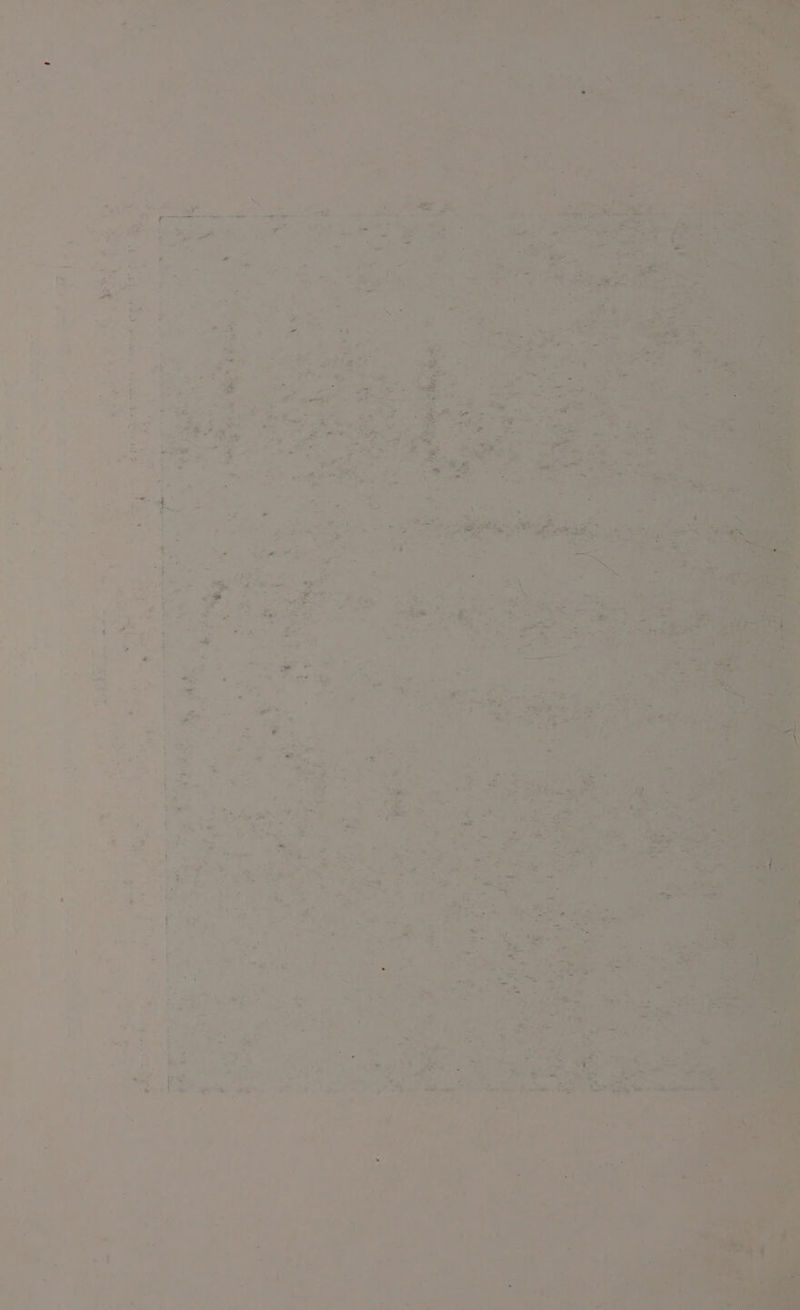 w= al ted q cy at { * A > ae pat as , ie cya = ar Ca poe. ae ie a a regen oo Re. -*  a 5 F ” a .  ; : : he } a. fh ho A. s ‘ ae « * he ey gee ; St + Magers a t 5 2 Le . - oy 4 ; i a ol | e * ee 4a “. - } ie? F y - ‘eng aa: wy 4 See ‘ ‘ ‘ 4 r « - 7 i - fy A 7 Pao . i ¥
