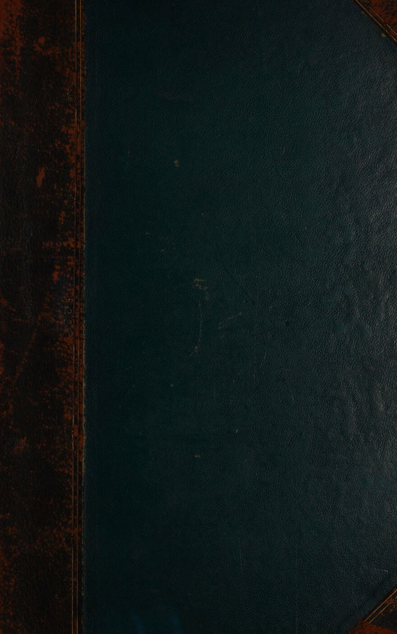 P LH, EEE FRIST Lat Be 2 Fe  u