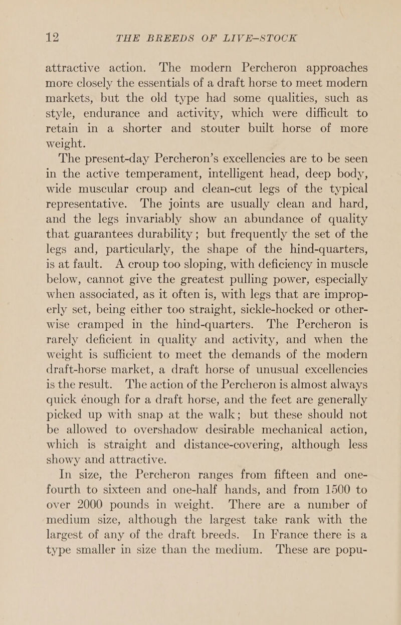 attractive action. The modern Percheron approaches more closely the essentials of a draft horse to meet modern markets, but the old type had some qualities, such as style, endurance and activity, which were difficult to retain in a shorter and stouter built horse of more weight. The present-day Percheron’s excellencies are to be seen in the active temperament, intelligent head, deep body, wide muscular croup and clean-cut legs of the typical representative. The joints are usually clean and hard, and the legs invariably show an abundance of quality that guarantees durability; but frequently the set of the legs and, particularly, the shape of the hind-quarters, is at fault. A croup too sloping, with deficiency in muscle below, cannot give the greatest pulling power, especially when associated, as it often is, with legs that are improp- erly set, being either too straight, sickle-hocked or other- wise cramped in the hind-quarters. The Percheron is rarely deficient in quality and activity, and when the weight is sufficient to meet the demands of the modern draft-horse market, a draft horse of unusual excellencies is the result. The action of the Percheron is almost always quick énough for a draft horse, and the feet are generally picked up with snap at the walk; but these should not be allowed to overshadow desirable mechanical action, which is straight and distance-covering, although less showy and attractive. In size, the Percheron ranges from fifteen and one- fourth to sixteen and one-half hands, and from 1500 to over 2000 pounds in weight. There are a number of medium size, although the largest take rank with the largest of any of the draft breeds. In France there is a type smaller in size than the medium. These are popu-