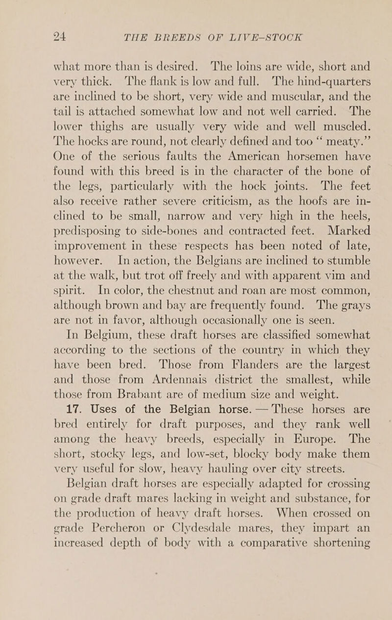 what more than is desired. The loins are wide, short and very thick. The flank is low and full. The hind-quarters are inclined to be short, very wide and muscular, and the tail is attached somewhat low and not well carried. The lower thighs are usually very wide and well muscled. The hocks are round, not clearly defined and too “‘ meaty.” One of the serious faults the American horsemen have found with this breed is in the character of the bone of the legs, particularly with the hock joints. The feet also receive rather severe criticism, as the hoofs are in- clined to be small, narrow and very high in the heels, predisposing to side-bones and contracted feet. Marked improvement in these respects has been noted of late, however. In action, the Belgians are inclined to stumble at the walk, but trot off freely and with apparent vim and spirit. In color, the chestnut and roan are most common, although brown and bay are frequently found. The grays are not in favor, although occasionally one is seen. In Belgium, these draft horses are classified somewhat according to the sections of the country in which they have been bred. Those from Flanders are the largest and those from Ardennais district the smallest, while those from Brabant are of medium size and weight. 17. Uses of the Belgian horse. — These horses are bred entirely for draft purposes, and they rank well among the heavy breeds, especially in Europe. The short, stocky legs, and low-set, blocky body make them very useful for slow, heavy hauling over city streets. Belgian draft horses are especially adapted for crossing on grade draft mares lacking in weight and substance, for the production of heavy draft horses. When crossed on grade Percheron or Clydesdale mares, they impart an increased depth of body with a comparative shortening