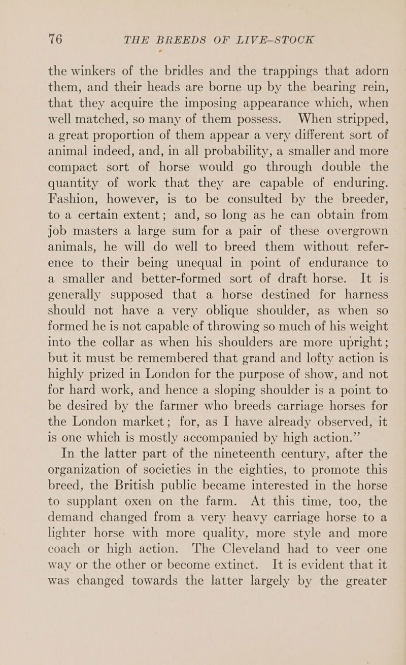 the winkers of the bridles and the trappings that adorn them, and their heads are borne up by the bearing rein, that they acquire the imposing appearance which, when well matched, so many of them possess. When stripped, a great proportion of them appear a very different sort of animal indeed, and, in all probability, a smaller and more compact sort of horse would go through double the quantity of work that they are capable of enduring. Fashion, however, is to be consulted by the breeder, to a certain extent; and, so long as he can obtain from job masters a large sum for a pair of these overgrown animals, he will do well to breed them without refer- ence to their being unequal in point of endurance to a smaller and better-formed sort of draft horse. It is generally supposed that a horse destined for harness should not have a very oblique shoulder, as when so formed he is not capable of throwing so much of his weight into the collar as when his shoulders are more upright ; but it must be remembered that grand and lofty action is highly prized in London for the purpose of show, and not for hard work, and hence a sloping shoulder is a point to be desired by the farmer who breeds carriage horses for the London market; for, as I have already observed, it is one which is mostly accompanied by high action.” In the latter part of the nineteenth century, after the organization of societies in the eighties, to promote this breed, the British public became interested in the horse to supplant oxen on the farm. At this time, too, the demand changed from a very heavy carriage horse to a lighter horse with more quality, more style and more coach or high action. The Cleveland had to veer one way or the other or become extinct. It is evident that it was changed towards the latter largely by the greater