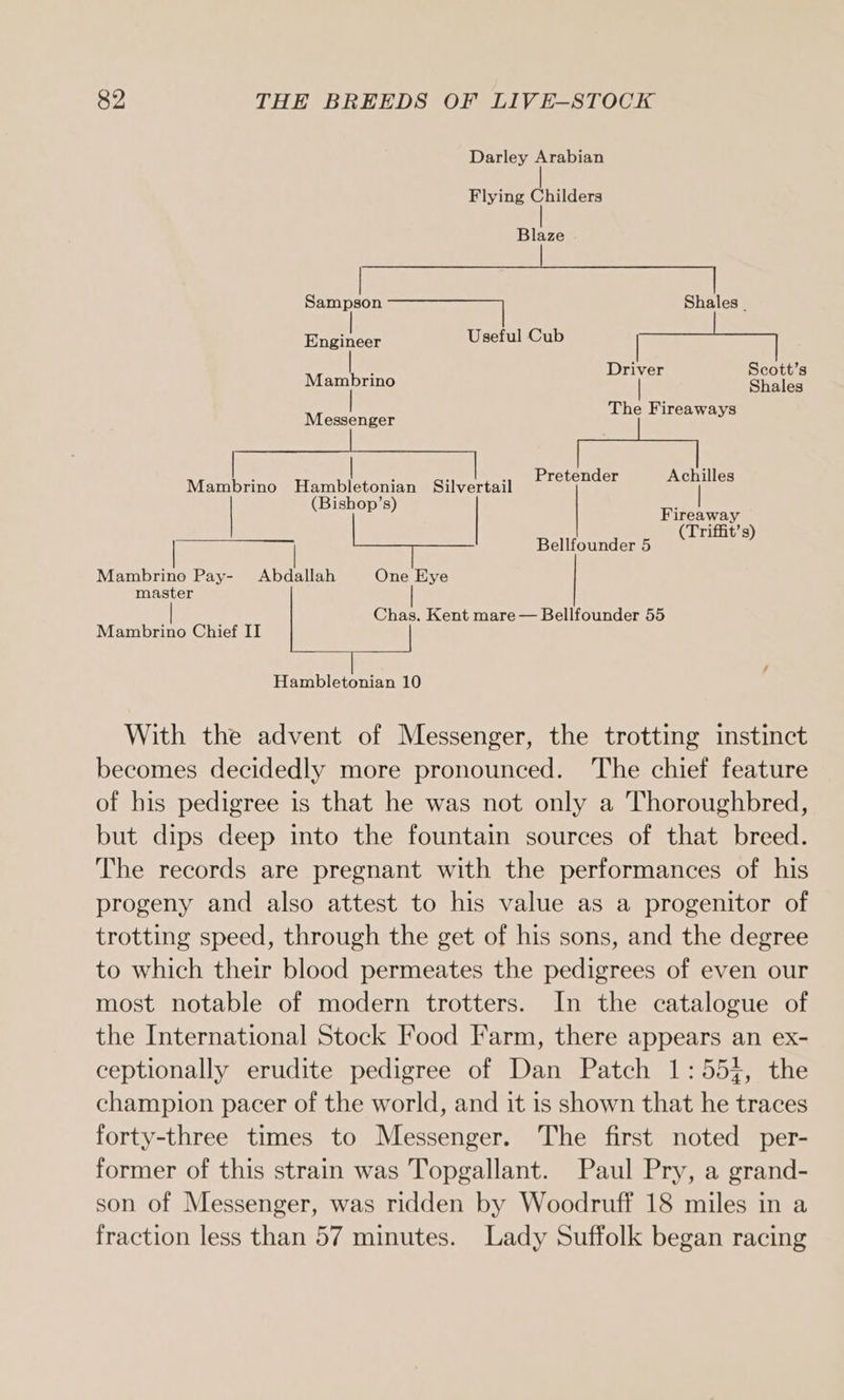 Darley Arabian Flying Childers Blaze Sampson Shales | Engineer Useful Cub | Mambrino Dr Ve Baas Messenger The Fireaways Mambrino Hambletonian Silvertail Erevender Achilles (Bishop’s) Fireaway (Triffit’s) Bellfounder 5 Mambrino Pay- Abdallah One Eye master | Chas. Kent mare — Bellfounder 55 Mambrino Chief II Hambletonian 10 With the advent of Messenger, the trotting instinct becomes decidedly more pronounced. The chief feature of his pedigree is that he was not only a Thoroughbred, but dips deep into the fountain sources of that breed. The records are pregnant with the performances of his progeny and also attest to his value as a progenitor of trotting speed, through the get of his sons, and the degree to which their blood permeates the pedigrees of even our most notable of modern trotters. In the catalogue of the International Stock Food Farm, there appears an ex- ceptionally erudite pedigree of Dan Patch 1:554, the champion pacer of the world, and it is shown that he traces forty-three times to Messenger. The first noted per- former of this strain was Topgallant. Paul Pry, a grand- son of Messenger, was ridden by Woodruff 18 miles in a fraction less than 57 minutes. Lady Suffolk began racing