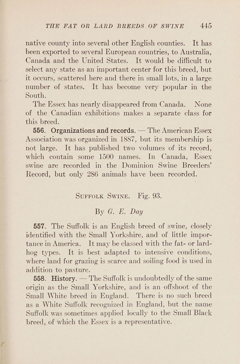 native county into several other English counties. It has been exported to several European countries, to Australia, Canada and the United States. It would be difficult to select any state as an important center for this breed, but it occurs, scattered here and there in small lots, in a large number of states. It has become very popular in the South. The Essex has nearly disappeared from Canada. None of the Canadian exhibitions makes a separate class for this breed. 556. Organizations and records. — he American Essex Association was organized in 1887, but its membership is not large. It has published two volumes of its record, which contain some 1500 names. In Canada, Essex swine are recorded in the Dominion Swine Breeders’ Record, but only 286 animals have been recorded. SUFFOLK SWINE. Fig. 93. By G. E. Day 557. The Suffolk is an English breed of swine, closely | identified with the Small Yorkshire, and of little impor- tance in America. It may be classed with the fat- or lard- hog types. It is best adapted to intensive conditions, where land for grazing is scarce and soiling food is used in addition to pasture. 558. History. — The Suffolk is undoubtedly of the same origin as the Small Yorkshire, and is an offshoot of the Small White breed in England. There is no such breed as a White Suffolk recognized in England, but the name Suffolk was sometimes applied locally to the Small Black breed, of which the Essex is a representative.