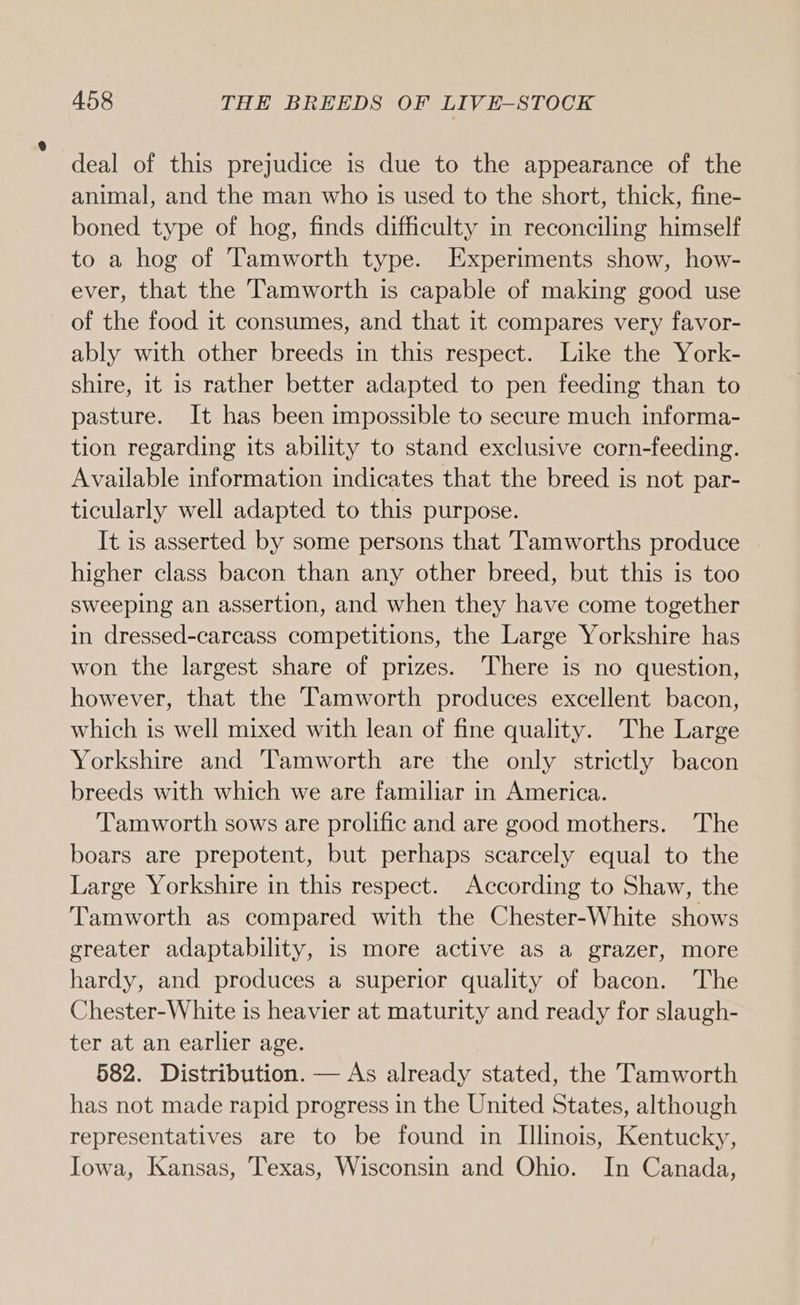 deal of this prejudice is due to the appearance of the animal, and the man who is used to the short, thick, fine- boned type of hog, finds difficulty in reconciling himself to a hog of Tamworth type. Experiments show, how- ever, that the Tamworth is capable of making good use of the food it consumes, and that it compares very favor- ably with other breeds in this respect. Like the York- shire, it is rather better adapted to pen feeding than to pasture. It has been impossible to secure much informa- tion regarding its ability to stand exclusive corn-feeding. Available information indicates that the breed is not par- ticularly well adapted to this purpose. It is asserted by some persons that Tamworths produce higher class bacon than any other breed, but this is too sweeping an assertion, and when they have come together in dressed-carcass competitions, the Large Yorkshire has won the largest share of prizes. There is no question, however, that the Tamworth produces excellent bacon, which is well mixed with lean of fine quality. The Large Yorkshire and Tamworth are the only strictly bacon breeds with which we are familiar in America. Tamworth sows are prolific and are good mothers. The boars are prepotent, but perhaps scarcely equal to the Large Yorkshire in this respect. According to Shaw, the Tamworth as compared with the Chester-White shows greater adaptability, is more active as a grazer, more hardy, and produces a superior quality of bacon. The Chester-White is heavier at maturity and ready for slaugh- ter at an earlier age. 582. Distribution. — As already stated, the Tamworth has not made rapid progress in the United States, although representatives are to be found in Illinois, Kentucky, Iowa, Kansas, Texas, Wisconsin and Ohio. In Canada,