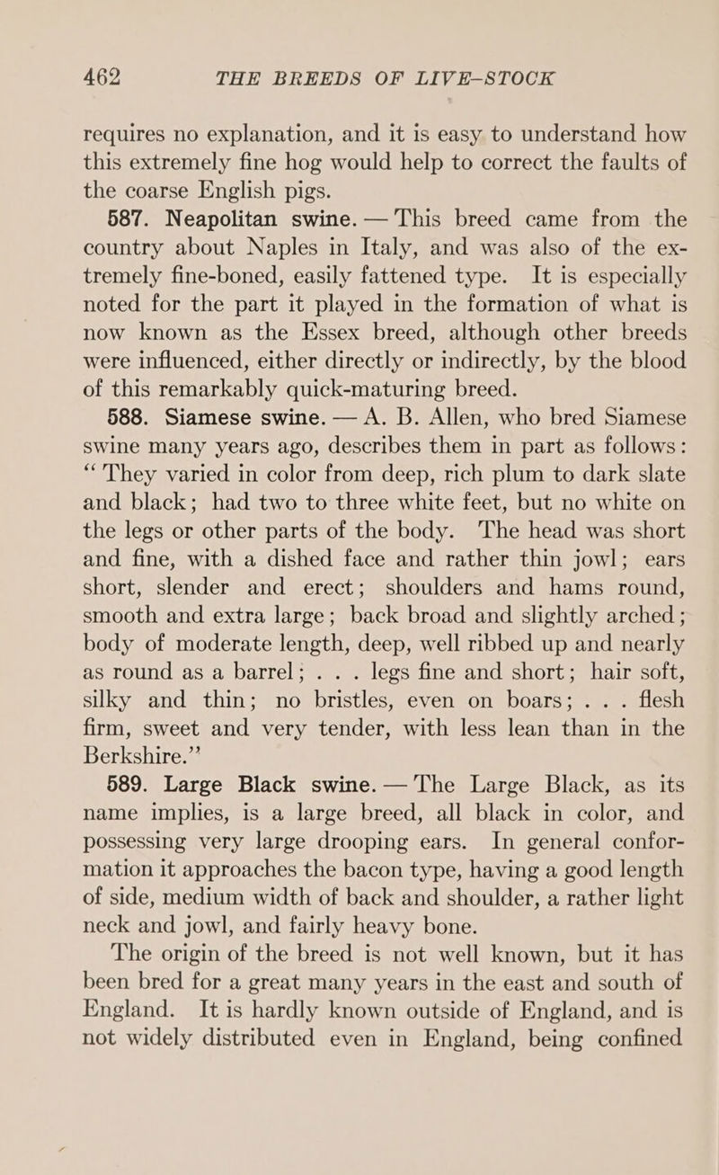 requires no explanation, and it is easy to understand how this extremely fine hog would help to correct the faults of the coarse English pigs. 587. Neapolitan swine. — This breed came from the country about Naples in Italy, and was also of the ex- tremely fine-boned, easily fattened type. It is especially noted for the part it played in the formation of what is now known as the Essex breed, although other breeds were influenced, either directly or indirectly, by the blood of this remarkably quick-maturing breed. 588. Siamese swine. — A. B. Allen, who bred Siamese swine many years ago, describes them in part as follows: “They varied in color from deep, rich plum to dark slate and black; had two to three white feet, but no white on the legs or other parts of the body. The head was short and fine, with a dished face and rather thin jowl; ears short, slender and erect; shoulders and hams round, smooth and extra large; back broad and slightly arched ; body of moderate length, deep, well ribbed up and nearly as round as a barrel; . . . legs fine and short; hair soft, silky and thin; no bristles, even on boars; .. . flesh firm, sweet and very tender, with less lean than in the Berkshire.” 589. Large Black swine. — The Large Black, as its name implies, is a large breed, all black in color, and possessing very large drooping ears. In general confor- mation it approaches the bacon type, having a good length of side, medium width of back and shoulder, a rather light neck and jowl, and fairly heavy bone. The origin of the breed is not well known, but it has been bred for a great many years in the east and south of England. It is hardly known outside of England, and is not widely distributed even in England, being confined