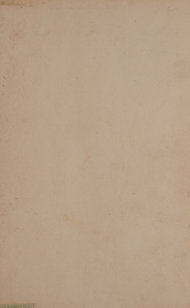 digitised image 3