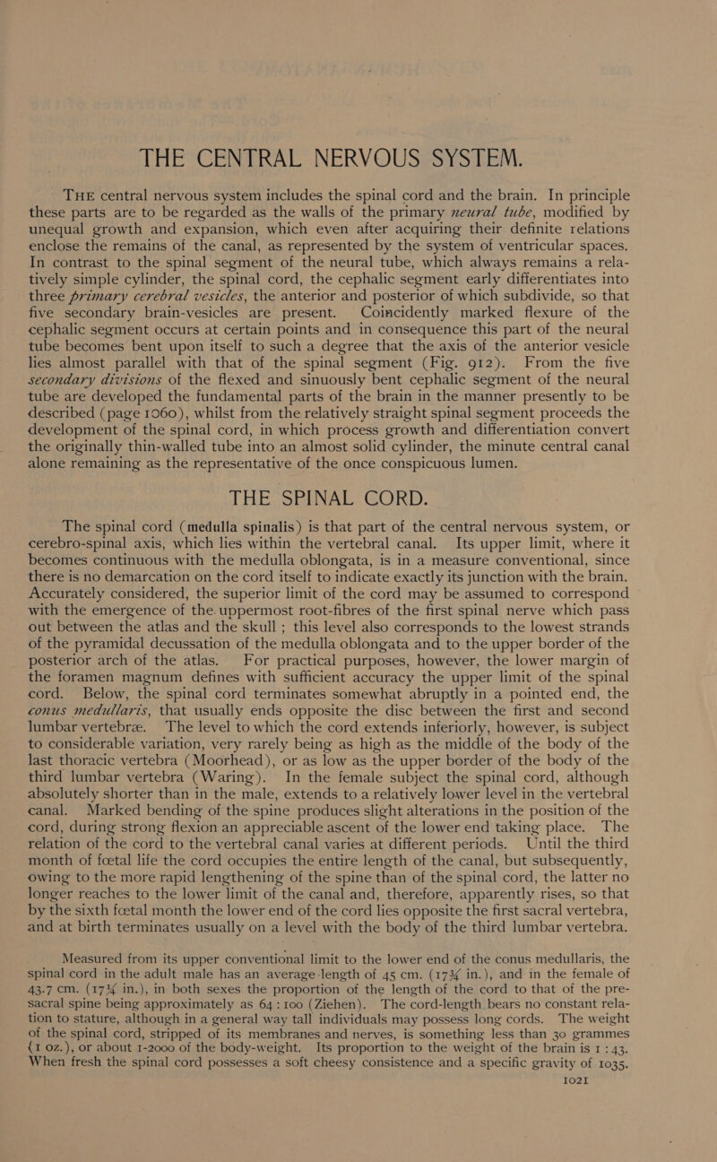 THE central nervous system includes the spinal cord and the brain. In principle these parts are to be regarded as the walls of the primary xeural tube, modified by unequal growth and expansion, which even after acquiring their definite relations enclose the remains of the canal, as represented by the system of ventricular spaces. In contrast to the spinal segment of the neural tube, which always remains a rela- tively simple cylinder, the spinal cord, the cephalic segment early differentiates into three primary cerebral vesicles, the anterior and posterior of which subdivide, so that five secondary brain-vesicles are present. Coincidently marked flexure of the cephalic segment occurs at certain points and in consequence this part of the neural tube becomes bent upon itself to such a degree that the axis of the anterior vesicle lies almost parallel with that of the spinal segment (Fig. 912). From the five secondary divisions of the flexed and sinuously bent cephalic segment of the neural tube are developed the fundamental parts of the brain in the manner presently to be described (page 1060), whilst from the relatively straight spinal segment proceeds the development of the spinal cord, in which process growth and differentiation convert the originally thin-walled tube into an almost solid cylinder, the minute central canal alone remaining as the representative of the once conspicuous lumen. THE SPINAL CORD. The spinal cord (medulla spinalis) is that part of the central nervous system, or cerebro-spinal axis, which lies within the vertebral canal. Its upper limit, where it becomes continuous with the medulla oblongata, is in a measure conventional, since there is no demarcation on the cord itself to indicate exactly its junction with the brain. Accurately considered, the superior limit of the cord may be assumed to correspond with the emergence of the. uppermost root-fibres of the first spinal nerve which pass out between the atlas and the skull ; this level also corresponds to the lowest strands of the pyramidal decussation of the medulla oblongata and to the upper border of the posterior arch of the atlas. For practical purposes, however, the lower margin of the foramen magnum defines with sufficient accuracy the upper limit of the spinal cord. Below, the spinal cord terminates somewhat abruptly in a pointed end, the conus medullaris, that usually ends opposite the disc between the first and second lumbar vertebrae. The level to which the cord extends inferiorly, however, is subject to considerable variation, very rarely being as high as the middle of the body of the last thoracic vertebra (Moorhead), or as low as the upper border of the body of the third lumbar vertebra (Waring). In the female subject the spinal cord, although absolutely shorter than in the male, extends to a relatively lower level in the vertebral canal. Marked bending of the spine produces slight alterations in the position of the cord, during strong flexion an appreciable ascent of the lower end taking place. The relation of the cord to the vertebral canal varies at different periods. Until the third month of fcetal life the cord occupies the entire length of the canal, but subsequently, owing to the more rapid lengthening of the spine than of the spinal cord, the latter no longer reaches to the lower limit of the canal and, therefore, apparently rises, so that by the sixth fcetal month the lower end of the cord lies opposite the first sacral vertebra, and at birth terminates usually on a level with the body of the third lumbar vertebra. Measured from its upper conventional limit to the lower end of the conus medullaris, the spinal cord in the adult male has an average length of 45 cm. (1734 in.), and in the female of 43-7 cm. (174 in.), in both sexes the proportion of the length of the cord to that of the pre- sacral spine being approximately as 64: 100 (Ziehen). The cord-length bears no constant rela- tion to stature, although in a general way tall individuals may possess long cords. The weight of the spinal cord, stripped of its membranes and nerves, is something less than 30 grammes {1 0z.), or about 1-2000 of the body-weight. Its proportion to the weight of the brain is 1 : 43. When fresh the spinal cord possesses a soft cheesy consistence and a specific gravity of 1035. I02I