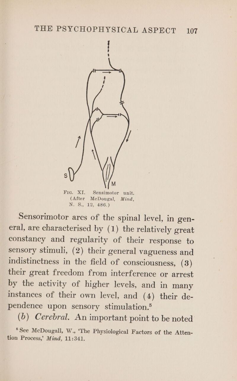 Fie. XI. Sensimotor unit. (After McDougal, Mind, N.-S., 12, 486;) Sensorimotor ares of the spinal level, in gen- eral, are characterised by (1) the relatively great constancy and regularity of their response to sensory stimuli, (2) their general vagueness and indistinctness in the field of consciousness, (3) their great freedom from interference or arrest by the activity of higher levels, and in many instances of their own level, and (4) their de- pendence upon sensory stimulation.® (b) Cerebral. An important point to be noted *See McDougall, W., ‘The Physiological Factors of the Atten- tion Process,’ Mind, 11:341.