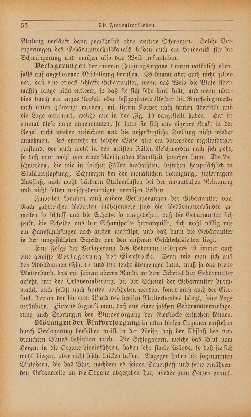 Blutung verläuft dann gewöhnlich ohne weitere Schmerzen. Solche Ver— engerungen des Gebärmutterhalskanals bilden auch ein Hindernis für die Schwängerung und machen alſo das Weib unfruchtbar. Verlagerungen der inneren Zeugungsorgane können natürlich eben⸗ falls auf angeborener Mißbildung beruhen. Es kommt aber auch nicht ſelten vor, daß eine etwas ſchlaffe Gebärmutter, wenn das Weib die Blaſe über- mäßig lange nicht entleert, ſo daß ſie ſich ſehr ſtark füllt, und wenn über⸗ dies durch ein enges Korſett oder feſtgegürtete Kleider die Baucheingeweide nach unten gedrängt werden, mit ihrem Körper nach hinten überfällt und die Lage annimmt, welche wir in der Fig. 19 dargeſtellt haben. Hat ſie einmal dieſe Lage angenommen, ſo kann ſie ſich aus eigener Kraft in der Regel nicht wieder aufrichten und die urſprüngliche Stellung nicht wieder annehmen. Es entſteht in ſolcher Weiſe alſo ein dauernder regelwidriger Zuſtand, der auch wohl in den meiſten Fällen Beſchwerden nach ſich zieht, jo daß man wohl von einer ſchleichenden Krankheit ſprechen kann. Die Be- ſchwerden, die wir in ſolchen Fällen beobachten, beſtehen hauptſächlich in Stuhlverſtopfung, Schmerzen bei der monatlichen Reinigung, ſchleimigem Ausfluß, auch wohl ſtärkeren Blutverluſten bei der monatlichen Reinigung und nicht ſelten verſchiedenartigen nervöſen Leiden. Zuweilen kommen auch andere Verlagerungen der Gebärmutter vor. Nach zahlreichen Geburten insbeſondere ſind die Gebärmutterbänder zu⸗ weilen ſo ſchlaff und die Scheide ſo ausgedehnt, daß die Gebärmutter ſich ſenkt, die Scheide aus der Schamſpalte hervorquillt, ſich wohl völlig wie in der umgeſtülpten Scheide vor den äußeren Geſchlechtsteilen liegt. Eine Folge der Verlagerung des Gebärmutterkörpers iſt immer auch eine gewiſſe Verlagerung der Eierſtöcke. Denn wie man ſich aus den Abbildungen (Fig. 17 und 19) leicht überzeugen kann, muß ja das breite Mutterband, das mit ſeinem oberen Rande an dem Scheitel der Gebärmutter anſetzt, mit der Ortsveränderung, die der Scheitel der Gebärmutter durch— ſtock, der an der hinteren Wand des breiten Mutterbandes hängt, ſeine Lage verändern. Hieraus begreift man, daß aus einer ſolchen Gebärmutterverlage— rung auch Störungen der Blutverſorgung der Eierſtöcke entſtehen können. Störungen der Blutverlorgung in allen dieſen Organen entſtehen durch Verlagerung derſelben meiſt in der Weiſe, daß der Abfluß des ver- brauchten Blutes behindert wird. Die Schlagadern, welche das Blut vom Herzen in die Organe hineinführen, haben ſehr ſtarke Wände, ſo daß ſie ſich wohl biegen, aber nicht leicht knicken laſſen. Dagegen haben die ſogenannten Blutadern, die das Blut, nachdem es feinen Sauerſtoff und ſeine ernähren- den Beſtandteile an die Organe abgegeben hat, wieder zum Herzen zurück— e eee enn NE N W hr, 0 N N FERIEN 776% 100 y 15 A Bd, 0 MAN 10 N Ka \ F N } 0 EN N Ba 2 Ne