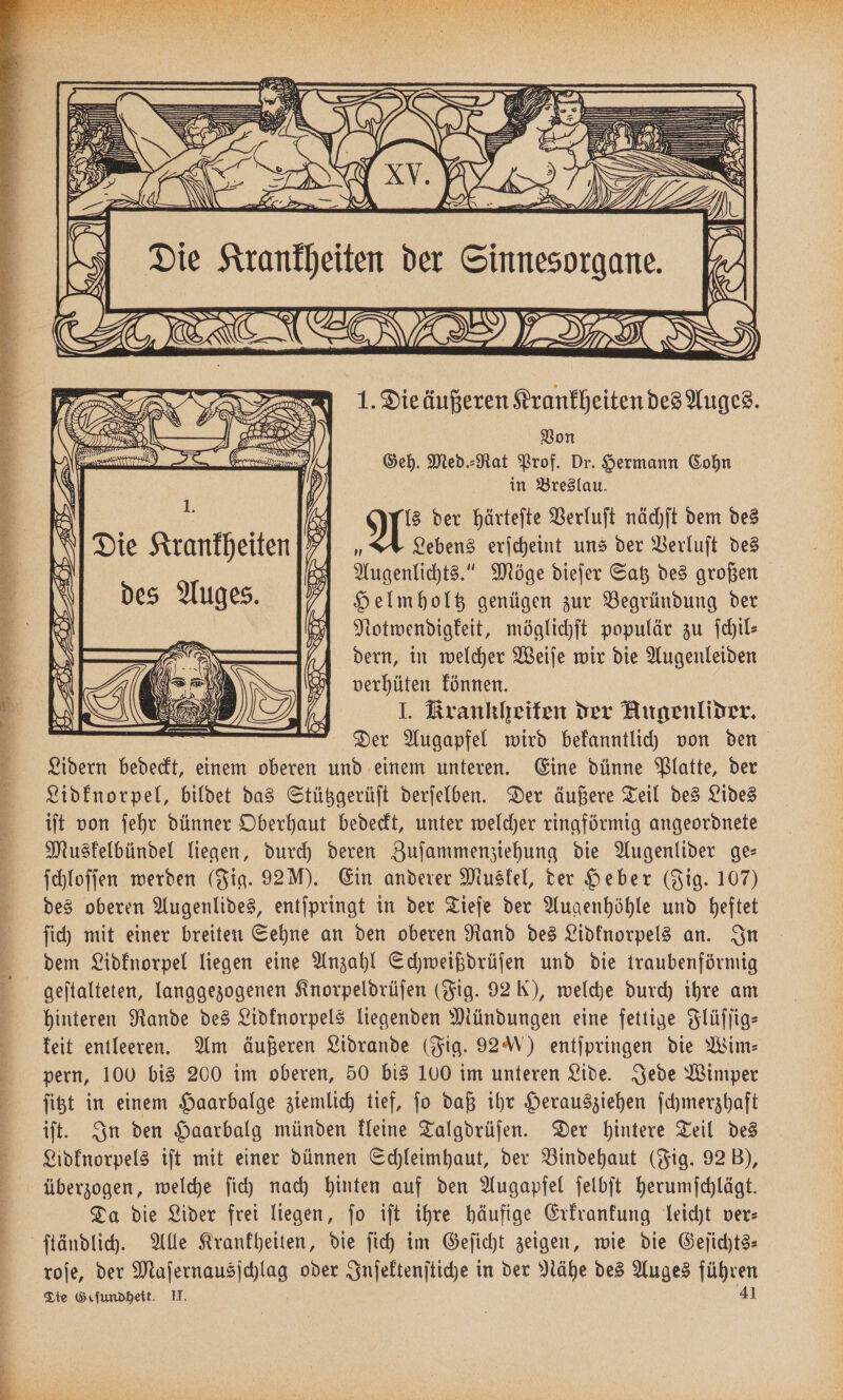 AR ZEN N ) 2 I, 1. Die äußeren Krankheiten des Auges. Von Geh. Med.⸗Rat Prof. Dr. Hermann Cohn I. 6 in Breslau. a € 42 IL“ der härteſte Verluſt nächſt dem des \ Die Krankheiten Ze Lebens erſcheint uns der Verluſt des Augenlichts.“ Möge dieſer Satz des großen des Auges. „Helmholtz genügen zur Begründung der Notwendigkeit, möglichſt populär zu ſchil— dern, in welcher Weiſe wir die Augenleiden verhüten können. J. Krankheiten der Augenlider. Der Augapfel wird bekanntlich von den Lidern bedeckt, einem oberen und einem unteren. Eine dünne Platte, der Lidknorpel, bildet das Stützgerüſt derſelben. Der äußere Teil des Lides iſt von ſehr dünner Oberhaut bedeckt, unter welcher ringförmig angeordnete Muskelbündel liegen, durch deren Zuſammenziehung die Augenlider ge— ſchloſſen werden (Fig. 92M). Ein anderer Muskel, der Heber (Jig. 107) dees oberen Augenlides, entſpringt in der Tiefe der Augenhöhle und heftet ſich mit einer breiten Sehne an den oberen Rand des Lidknorpels an. In dem Lidknorpel liegen eine Anzahl Schweißdrüſen und die traubenförmig geſtalteten, langgezogenen Knorpeldrüſen (Fig. 92 K), welche durch ihre am hinteren Rande des Lidknorpels liegenden Mündungen eine fettige Flüſſig— keit entleeren. Am äußeren Lidrande (Fig. 92K) entſpringen die Wim: pern, 100 bis 200 im oberen, 50 bis 100 im unteren Lide. Jede Wimper ſitzt in einem Haarbalge ziemlich tief, jo daß ihr Herausziehen ſchmerzhaft itſt. In den Haarbalg münden kleine Talgdrüſen. Der hintere Teil des Lio.idknorpels iſt mit einer dünnen Schleimhaut, der Bindehaut (Fig. 92 B), überzogen, welche ſich nach hinten auf den Augapfel ſelbſt herumſchlägt. Da die Lider frei liegen, ſo iſt ihre häufige Erkrankung leicht ver— ſtändlich. Alle Krankheiten, die ſich im Geſicht zeigen, wie die Geſichts— roſe, der Maſernausſchlag oder Inſektenſtiche in der Nähe des Auges führen Sie Geſundheit. II. 41