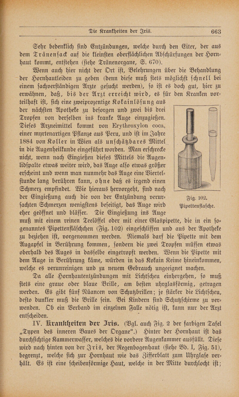 Die Krankheiten der Iris. 663 Sehr bedenklich ſind Entzündungen, welche durch den Eiter, der aus dem Tränenſack auf die kleinſten oberflächlichen Abſchürfungen der Horn: haut kommt, entſtehen (ſiehe Tränenorgane, S. 670). Wenn auch hier nicht der Ort iſt, Belehrungen über die Behandlung einem ſachverſtändigen Arzte geſucht werden), ſo iſt es doch gut, hier zu erwähnen, daß, bis der Arzt erreicht wird, es für den Kranken vor- teilhaft iſt, ſich eine zweiprozentige Kokainlöſung aus der nächſten Apotheke zu beſorgen und zwei bis drei Tropfen von derſelben ins kranke Auge einzugießen. Dieſes Arzneimittel kommt von Erythroxylon coca, einer myrtenartigen Pflanze aus Peru, und iſt im Jahre 1884 von Koller in Wien als unſchätzbares Mittel in die Augenheilkunde eingeführt worden. Man erſchrecke nicht, wenn nach Eingießen dieſes Mittels die Augen⸗ lidſpalte etwas weiter wird, das Auge alſo etwas größer erſcheint und wenn man nunmehr das Auge eine Viertel— ſtunde lang berühren kann, ohne daß es irgend einen Schmerz empfindet. Wie hieraus hervorgeht, ſind nach der Eingießung auch die von der Entzündung verur— Fig. 102. ſachten Schmerzen wenigſtens beſeitigt, das Auge wird Pipettenflaſche. eher geöffnet und bläſſer. Die Eingießung ins Auge muß mit einem reinen Teelöffel oder mit einer Glaspipette, die in ein fo- genanntes Pipettenfläſchchen (Fig. 102) eingeſchliffen und aus der Apotheke zu beziehen iſt, vorgenommen werden. Niemals darf die Pipette mit dem Augapfel in Berührung kommen, ſondern die zwei Tropfen müſſen etwas oberhalb des Auges in dasſelbe eingetropft werden. Wenn die Pipette mit dem Auge in Berührung käme, würden in das Kokain Keime hineinkommen, welche es verunreinigen und zu neuem Gebrauch ungeeignet machen. Da alle Hornhautentzündungen mit Lichtſcheu einhergehen, ſo muß ſtets eine graue oder blaue Brille, am beſten uhrglasförmig, getragen werden. Es gibt fünf Nüancen von Schutzbrillen; je ſtärker die Lichtſcheu, deſto dunkler muß die Brille ſein. Bei Kindern ſind Schutzſchirme zu ver— wenden. Ob ein Verband im einzelnen 35 nötig iſt, kann nur der Arzt entſcheiden. EV. Krankheiten der Iris, (Vgl. auch Fig. 2 der farbigen Tafel „Typen des inneren Baues der Organe“.) Hinter der Hornhaut iſt das durchſichtige Kammerwaſſer, welches die vordere Augenkammer ausfüllt. Dieſe wird nach hinten von der Iris, der Regenbogenhaut (ſiehe Bd. J, Fig. 51), begrenzt, welche ſich zur Hornhaut wie das Zifferblatt zum Uhrglaſe ver— hält. Es iſt eine ſcheibenförmige Haut, welche in der Mitte durchlocht iſt;