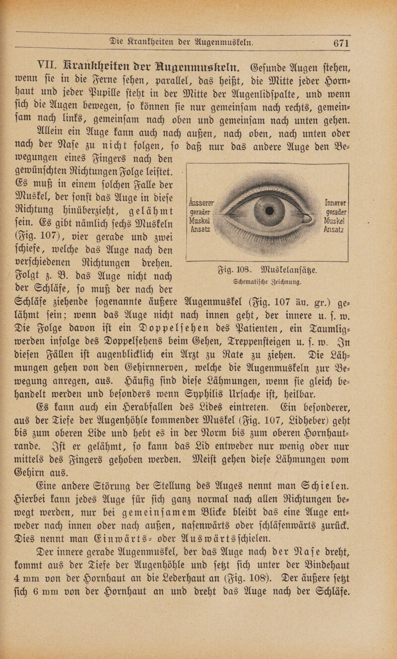 . 7 VII. Krankheiten der Augenmuskeln. Geſunde Augen ſtehen, wenn fie in die Ferne ſehen, parallel, das heißt, die Mitte jeder Horn⸗ ſam nach links, gemeinſam nach oben und gemeinſam nach unten gehen. Allein ein Auge kann auch nach außen, nach oben, nach unten oder nach der Naſe zu nicht folgen, ſo daß nur das andere Auge den Be⸗ wegungen eines Fingers nach den gewünſchten Richtungen Folge leiſtet. Es muß in einem ſolchen Falle der Muskel, der ſonſt das Auge in dieſe (Fig. 107), vier gerade und zwei ſchiefe, welche das Auge nach den | Fig. 108. Muskelanſätze. Schematiſche Zeichnung. Folgt z. B. das Auge nicht nach der Schläfe, ſo muß der nach der Schläfe ziehende ſogenannte äußere Augenmuskel (Fig. 107 äu. gr.) ge⸗ lähmt ſein; wenn das Auge nicht nach innen geht, der innere u. ſ. w. Die Folge davon iſt ein Doppelſehen des Patienten, ein Taumlig⸗ werden infolge des Doppelſehens beim Gehen, Treppenſteigen u. ſ. w. In dieſen Fällen iſt augenblicklich ein Arzt zu Rate zu ziehen. Die Läh⸗ mungen gehen von den Gehirnnerven, welche die Augenmuskeln zur Be— wegung anregen, aus. Häufig ſind dieſe Lähmungen, wenn ſie gleich be— handelt werden und beſonders wenn Syphilis Urſache iſt, heilbar. Es kann auch ein Herabfallen des Lides eintreten. Ein beſonderer, aus der Tiefe der Augenhöhle kommender Muskel (Fig. 107, Lidheber) geht bis zum oberen Lide und hebt es in der Norm bis zum oberen Hornhaut— rande. Iſt er gelähmt, ſo kann das Lid entweder nur wenig oder nur Gehirn aus. | | Eine andere Störung der Stellung des Auges nennt man Schielen. Hierbei kann jedes Auge für ſich ganz normal nach allen Richtungen be- wegt werden, nur bei gemeinſamem Blicke bleibt das eine Auge ent⸗ weder nach innen oder nach außen, naſenwärts oder ſchläfenwärts zurück. Dies nennt man Einwärts- oder Auswärts ſchielen. Der innere gerade Augenmuskel, der das Auge nach der Naſe dreht, kommt aus der Tiefe der Augenhöhle und ſetzt ſich unter der Bindehaut 4 mm von der Hornhaut an die Lederhaut an (Fig. 108). Der äußere ſetzt 1 nen 3 Sr,