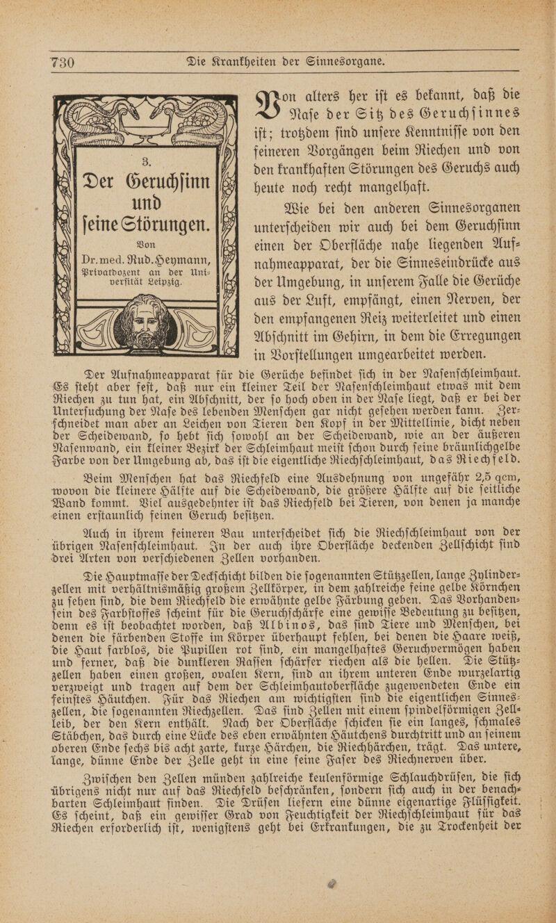 on alters her iſt es bekannt, daß die Naſe der Sitz des Geruchſinnes iſt; trotzdem ſind unſere Kenntniſſe von den feineren Vorgängen beim Riechen und von den krankhaften Störungen des Geruchs auch heute noch recht mangelhaft. Mi, und Wie bei den anderen Sinnesorganen A ſeine Störungen. unterſcheiden wir auch bei dem Geruchfinn | Von (einen der Oberfläche nahe liegenden Auf⸗ 74 nahmeapparat, der die Sinneseindrücke aus der Umgebung, in unſerem Falle die Gerüche aus der Luft, empfängt, einen Nerven, der den empfangenen Reiz weiterleitet und einen Abſchnitt im Gehirn, in dem die Erregungen in Vorſtellungen umgearbeitet werden. Der Aufnahmeapparat für die Gerüche befindet ſich in der Naſenſchleimhaut. Es ſteht aber feſt, daß nur ein kleiner Teil der Naſenſchleimhaut etwas mit dem Riechen zu tun hat, ein Abſchnitt, der ſo hoch oben in der Naſe liegt, daß er bei der Unterſuchung der Naſe des lebenden Menſchen gar nicht geſehen werden kann. Zer⸗ ſchneidet man aber an Leichen von Tieren den Kopf in der Mittellinie, dicht neben der Scheidewand, ſo hebt ſich ſowohl an der Scheidewand, wie an der äußeren Naſenwand, ein kleiner Bezirk der Schleimhaut meiſt ſchon durch ſeine bräunlichgelbe Farbe von der Umgebung ab, das iſt die eigentliche Riechſchleimhaut, das Riechfeld. Beim Menſchen hat das Riechfeld eine Ausdehnung von ungefähr 2,5 gem, wovon die kleinere Hälfte auf die Scheidewand, die größere Hälfte auf die ſeitliche Wand kommt. Viel ausgedehnter iſt das Riechfeld bei Tieren, von denen ja manche einen erſtaunlich feinen Geruch beſitzen. Auch in ihrem feineren Bau unterſcheidet ſich die Riechſchleimhaut von der übrigen Naſenſchleimhaut. In der auch ihre Oberfläche deckenden Zellſchicht ſind drei Arten von verſchiedenen Zellen vorhanden. Die Hauptmaſſe der Deckſchicht bilden die ſogenannten Stützzellen, lange Zylinder⸗ zellen mit verhältnismäßig großem Zellkörper, in dem zahlreiche feine gelbe Körnchen zu ſehen ſind, die dem Riechfeld die erwähnte gelbe Färbung geben. Das Vorhanden⸗ fein des Farbſtoffes ſcheint für die Geruchſchärfe eine gewiſſe Bedeutung zu beſitzen, denn es iſt beobachtet worden, daß Albinos, das ſind Tiere und Menſchen, bei denen die färbenden Stoffe im Körper überhaupt fehlen, bei denen die Haare weiß, die Haut farblos, die Pupillen rot ſind, ein mangelhaftes Geruchvermögen haben und ferner, daß die dunkleren Raſſen ſchärfer riechen als die hellen. Die Stütz⸗ zellen haben einen großen, ovalen Kern, ſind an ihrem unteren Ende wurzelartig verzweigt und tragen auf dem der Schleimhautoberfläche zugewendeten Ende ein feinſtes Häutchen. Für das Riechen am wichtigſten ſind die eigentlichen Sinnes⸗ zellen, die ſogenannten Riechzellen. Das ſind Zellen mit einem ſpindelförmigen Zell⸗ leib, der den Kern enthält. Nach der Oberfläche ſchicken ſie ein langes, ſchmales Stäbchen, das durch eine Lücke des eben erwähnten Häutchens durchtritt und an ſeinem oberen Ende ſechs bis acht zarte, kurze Härchen, die Riechhärchen, trägt. Das untere, lange, dünne Ende der Zelle geht in eine feine Faſer des Riechnerven über. Zwiſchen den Zellen münden zahlreiche keulenförmige Schlauchdrüſen, die ſich übrigens nicht nur auf das Riechfeld beſchränken, ſondern ſich auch in der benach⸗ barten Schleimhaut finden. Die Drüſen liefern eine dünne eigenartige Flüſſigkeit. Es ſcheint, daß ein gewiſſer Grad von Feuchtigkeit der Riechſchleimhaut für das Riechen erforderlich iſt, wenigſtens geht bei Erkrankungen, die zu Trockenheit der