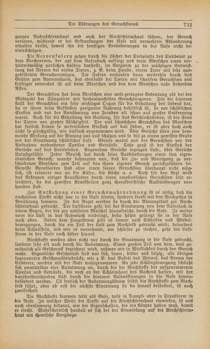 ganzen Naſenſchleimhaut und auch der Riechſchleimhaut führen, der Geruch verloren, während er bei Erkrankungen der Naſe mit vermehrter Abſonderung erhalten bleibt, ſoweit ihn die ſonſtigen Veränderungen in der Naſe nicht be⸗ einträchtigen. Die Nervenfaſern gehen durch die Löcher der Siebplatte des Siebbeins zu dem Riechnerven, der auf dem Naſendach aufliegt und beim Menſchen einen ver⸗ hältnismäßig zierlichen Kolben darſtellt, im Vergleich zu der mächtigen Entwick— lung des Nerven bei vielen Tieren, z. B. beim Hunde, einem Tiere mit ſehr aus⸗ gebildetem Geruchvermögen. Die Faſern verlaufen dann weiterhin durch das Gehirn zum Ammonshorn, das ebenfalls bei Tieren mit ſcharfem Geruchſinn viel Affen entwickelt iſt als beim Menſchen und den dem Menſchen nahe ſtehenden en. N Der Geruchſinn hat beim Menſchen eine weit geringere Bedeutung als bei der Mehrzahl der Säugetiere mit hochentwickelten Geruchsorganen. Für die letzteren ſtellt der Geruchſinn ein ſehr wichtiges Organ für die Erhaltung des Lebens dar, da er ihnen beim Auffinden geeigneter Nahrung behilflich iſt, ſie vor ſchädlichen Stoffen und vor der Annäherung von Feinden oft ſchon aus großer Entfernung warnt. Auch für die Erhaltung der Gattung, für das Geſchlechtsleben, iſt der Sinn bei Tieren von großer Wichtigkeit. Der viel ſchwächere Geruchſinn des Menſchen hat freilich keinen ſo weſentlichen Einfluß auf das Leben, er iſt aber doch auch nicht ſo gleichgültig, wie vielfach angenommen wird. Üble Gerüche üben eine hem⸗ mende Wirkung auf die Atmung aus und ſchützen uns ſo bis zu einem gewiſſen Grade vor der Einatmung ſchädlicher Luft. Ebenſo warnt uns der Geruchſinn vor der Aufnahme verdorbener Speiſen und Getränke. Sehr groß iſt der Einfluß der Gerüche auf das Seelenleben. Angenehme Gerüche erzeugen Luſt⸗, üble Gerüche Unluſtgefühle. Jeder Menſch hat durch ſeine Ausdünſtungen einen ihm eigen⸗ tümlichen Geruch; manche behaupten nun, daß die Zur und Abneigung zu ver: ſchiedenen Menſchen zum Teil auf den ihnen eigenen Geruch zurückzuführen ſei. Gewiſſe Berufsarten ſind ohne einen feinen Geruchſinn überhaupt nicht mög⸗ lich, ich erinnere nur an die Küfer, die Köche u. a. Auch für den Arzt wird das Erkennen einiger Krankheiten durch einen empfindlichen Geruchſinn ſehr er⸗ leichtert, da bei gewiſſen Krankheiten ganz charakteriſtiſche Ausdünſtungen vor⸗ handen find. | Zur Entſtehung einer Geruchs wahrnehmung iſt es nötig, daß die riechenden Stoffe nicht nur in die Naſe hinein, ſondern direkt mit den Riechzellen in Berührung kommen. In der Regel werden ſie durch die Atmungsluft zur Riech⸗ ſchleimhaut gebracht. Der Luftſtrom geht bei der Einatmung von dem Naſenloch in einem Bogen, der bis zur mittleren Muſchel hinaufreicht, durch die Naſe. Je weiter vorn die Luft in das Naſenloch eindringt, deſto höher gelangt ſie in der Naſe nach oben. Neben dem Hauptſtrom gibt es immer noch Schleifen und Wirbel⸗ bewegungen, durch die ein Teil der Luft zum Riechfeld gebracht wird; beſonders beim Schnüffeln, wie wir es vornehmen, um ſchärfer zu riechen, geht der Luft⸗ ſtrom in der Naſe noch höher hinauf. Riechſtoffe werden aber nicht nur durch die Einatmung in die Naſe gebracht, ſondern ſehr oft auch durch die Ausatmung. Einen großen Teil von dem, was ge⸗ wöhnlich als Geſchmack bezeichnet wird, nehmen wir in Wirklichkeit durch den Geruch wahr. Eigentliche Geſchmäcke ſind nur ſüß, ſauer, bitter und ſalzig, alle übrigen ſogenannten Geſchmackseindrücke, wie z. B. das Bukett des Weines, das Aroma der Erdbeere, werden mit der Naſe wahrgenommen. An jede Schlingbewegung ſchließt ſich unmittelbar eine Ausatmung an, durch die die Riechſtoffe der aufgenommenen Speiſen und Getränke, die noch an der Schleimhaut des Rachens haften, mit der darüberſtreichenden Luft durch die hinteren Naſenöffnungen in die Naſe hinein⸗ befördert werden. Ob freilich der Ausatmungsſtrom ſelbſt die Riechſtoffe zum Riech⸗ feld führt, oder ob erſt die nächſte Einatmung ſie da hinauf befördert, iſt noch zweifelhaft. Die Riechſtoffe kommen teils als Gaſe, teils in Dampf⸗ oder in Staubform in die Naſe. In welcher Weiſe die Stoffe auf die Riechſchleimhaut einwirken, iſt uns noch ebenſowenig bekannt, wie die Eigenſchaften, die ein Körper haben muß, damit er riecht. Wahrſcheinlich handelt es ſich bei der Einwirkung auf die Riechſchleim⸗ haut um chemiſche Vorgänge. %